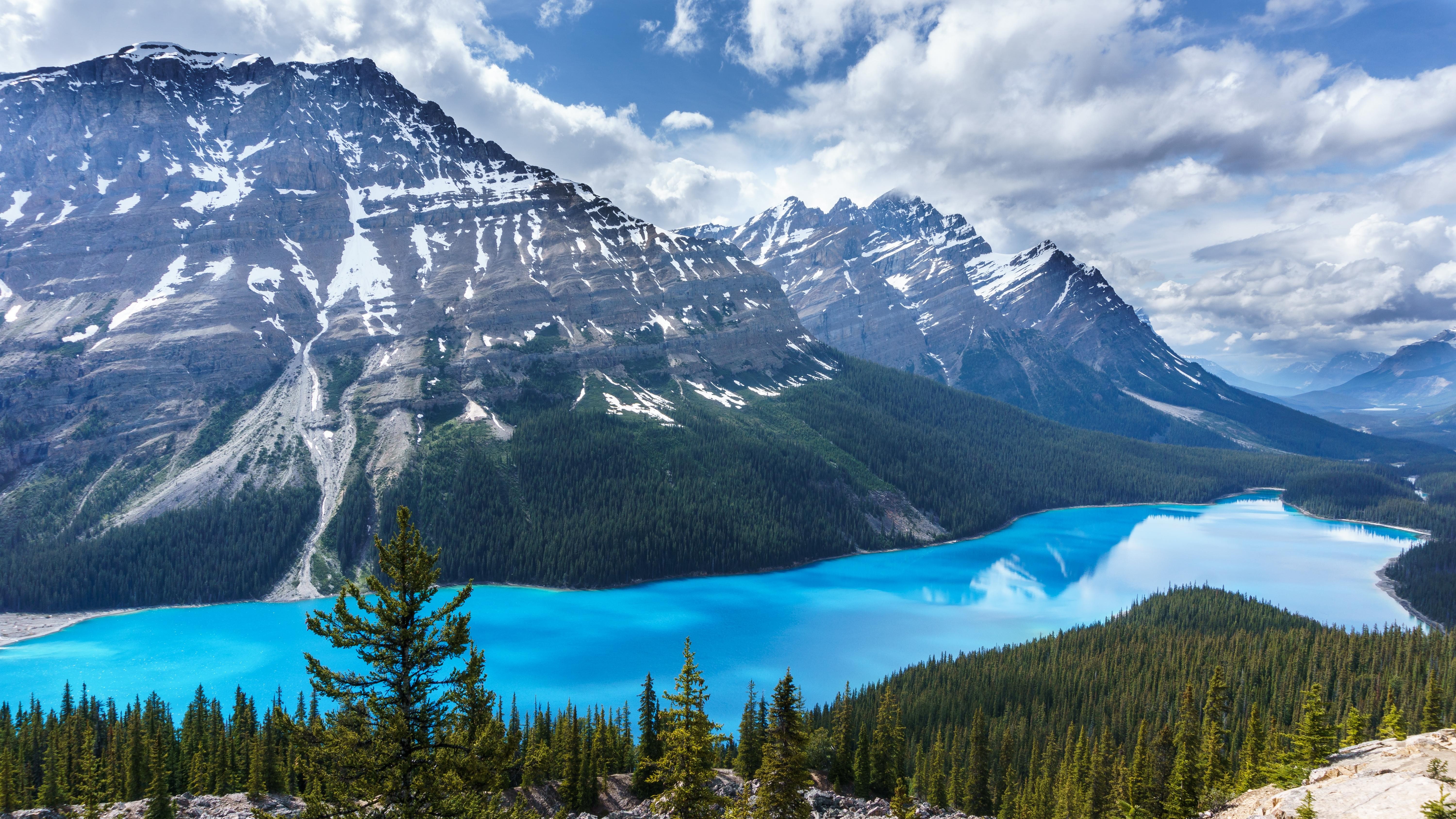 Peyto Lake in Banff National Park, Canada HD Wallpaper