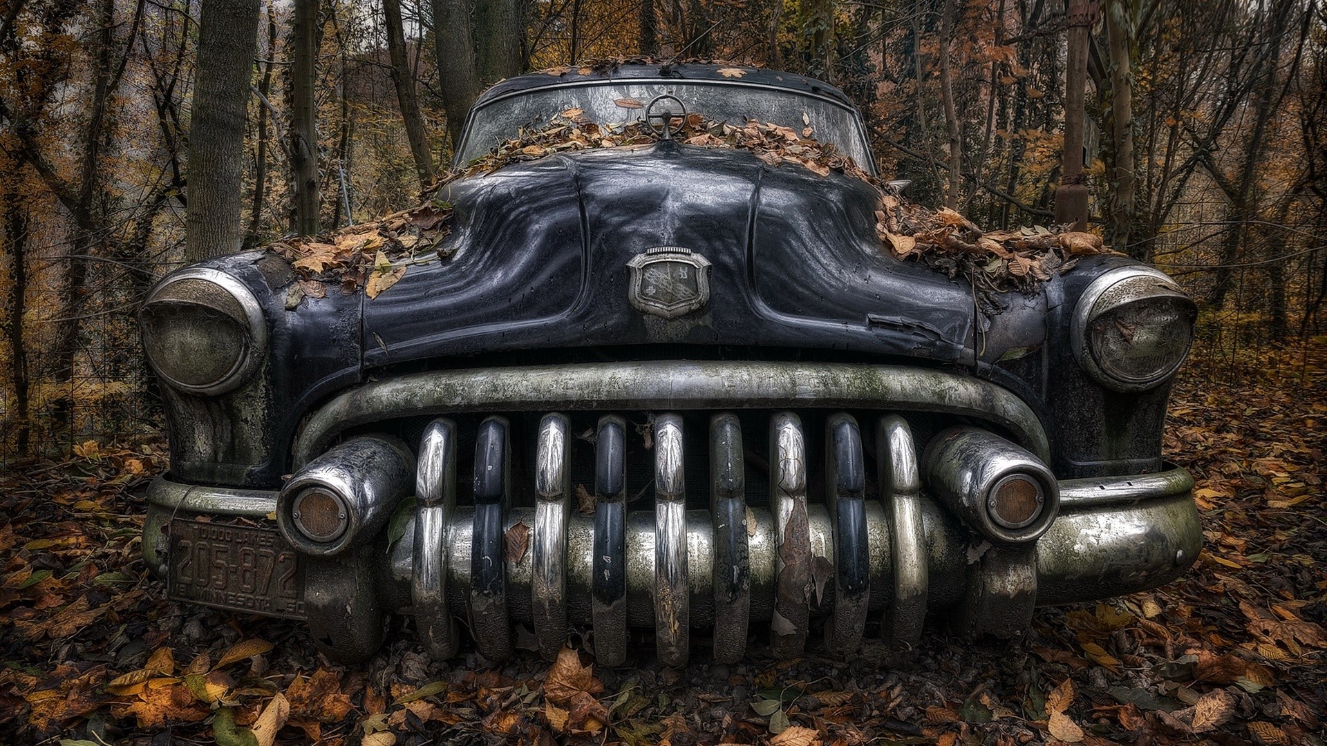 Abandoned vintage car covered in autumn leaves HD Wallpaper