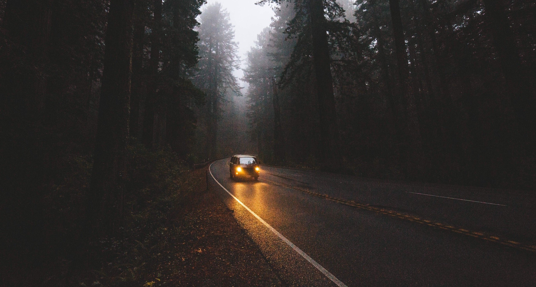 Car driving on a foggy road through a forest HD Wallpaper