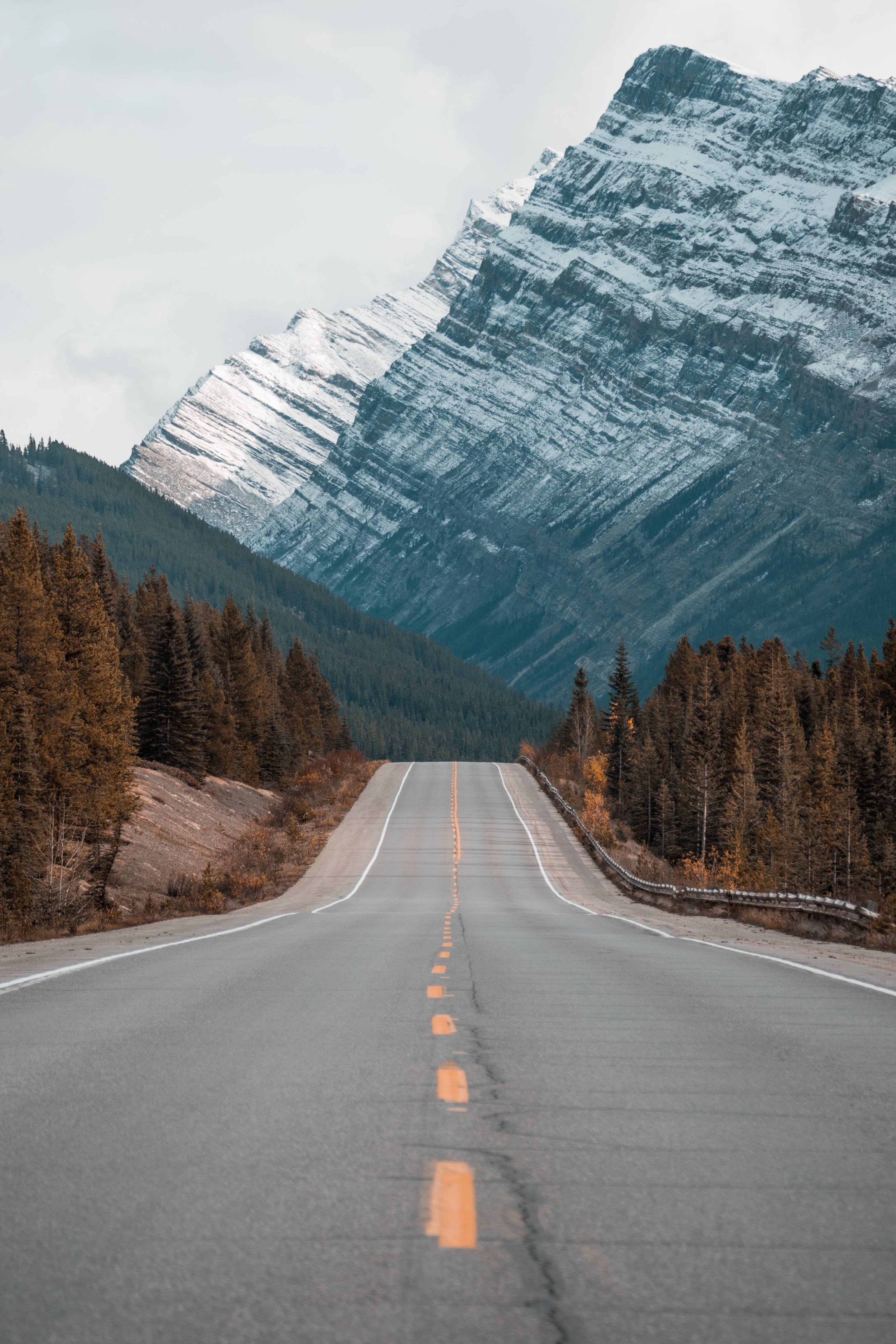 Mountain road through a forest with snow-capped mountains HD Wallpaper