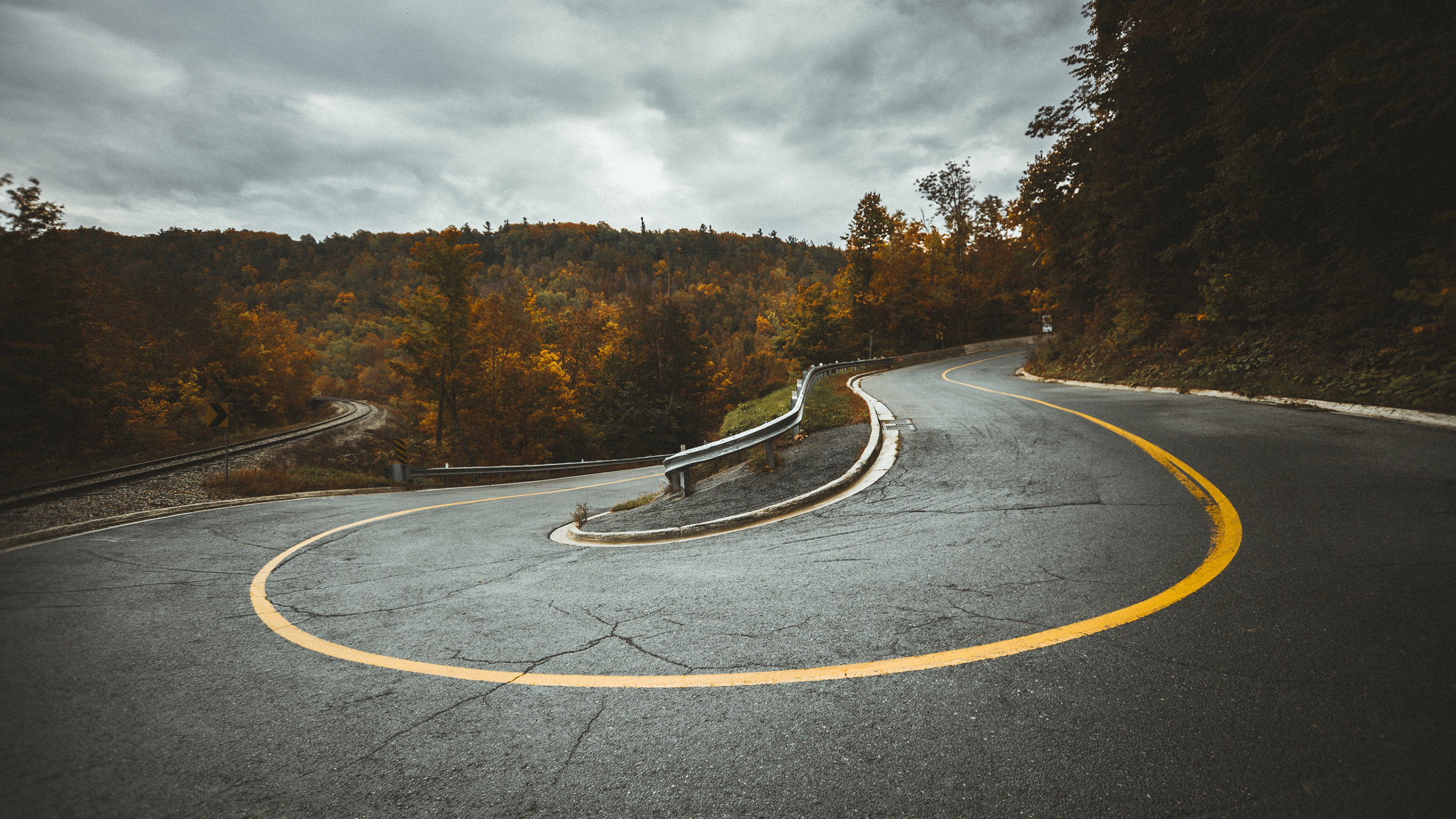 Winding road with yellow line through autumn forest HD Wallpaper