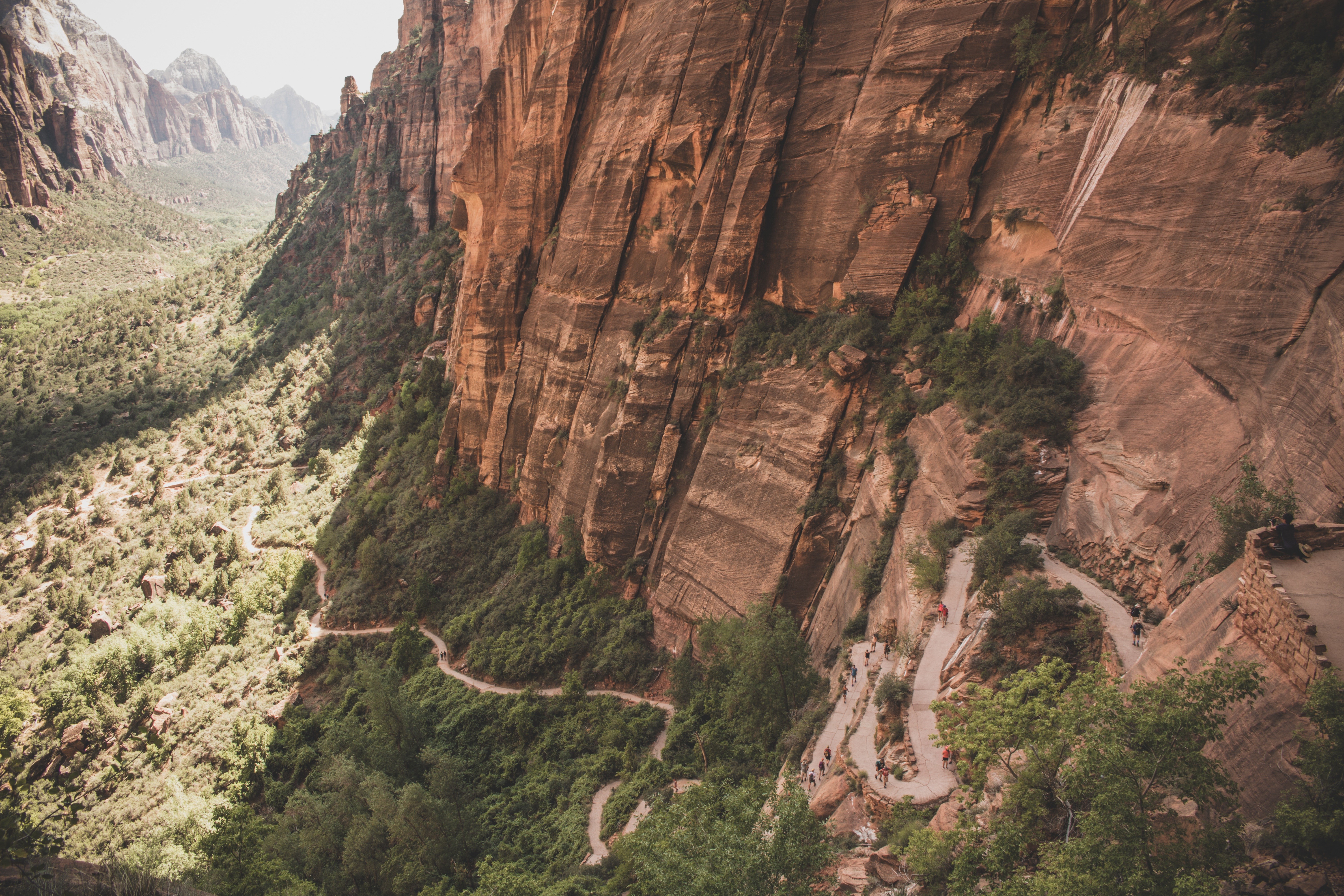 Zion National Park landscape with winding trail and cliffs HD Wallpaper