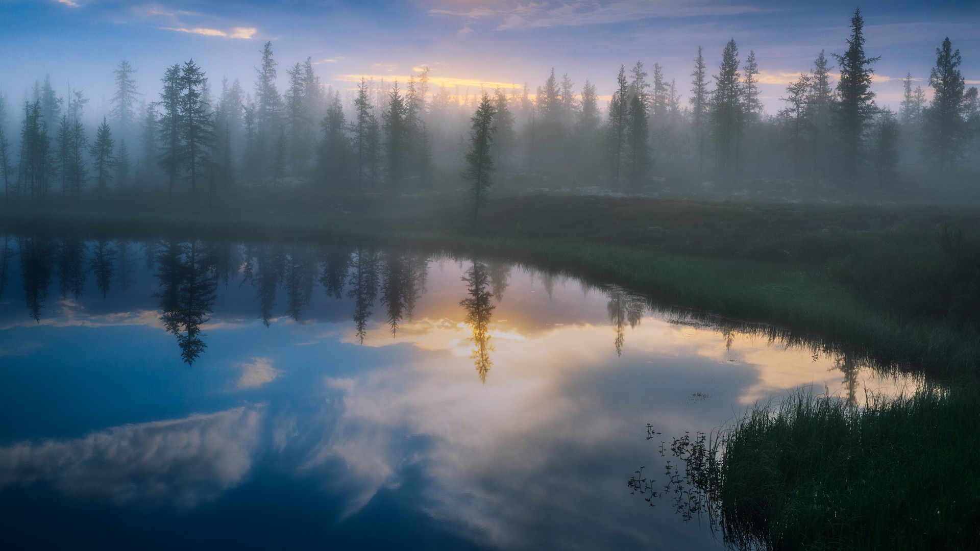 Misty forest reflected in calm water at sunrise HD Wallpaper