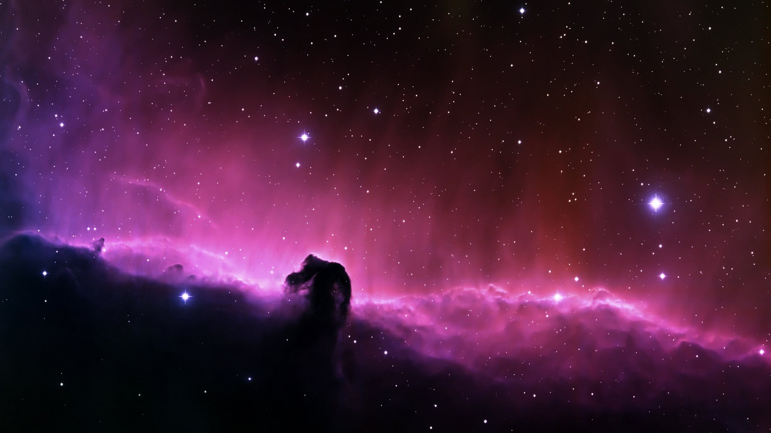 Horsehead Nebula in space HD Wallpaper