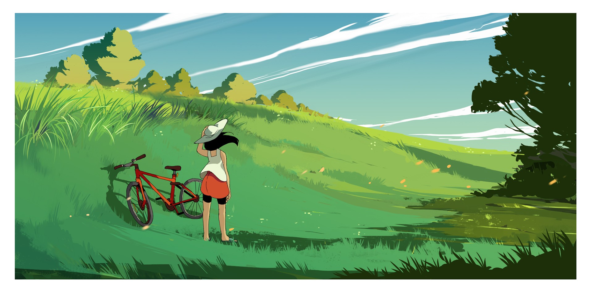 Girl with bicycle in a grassy field HD Wallpaper