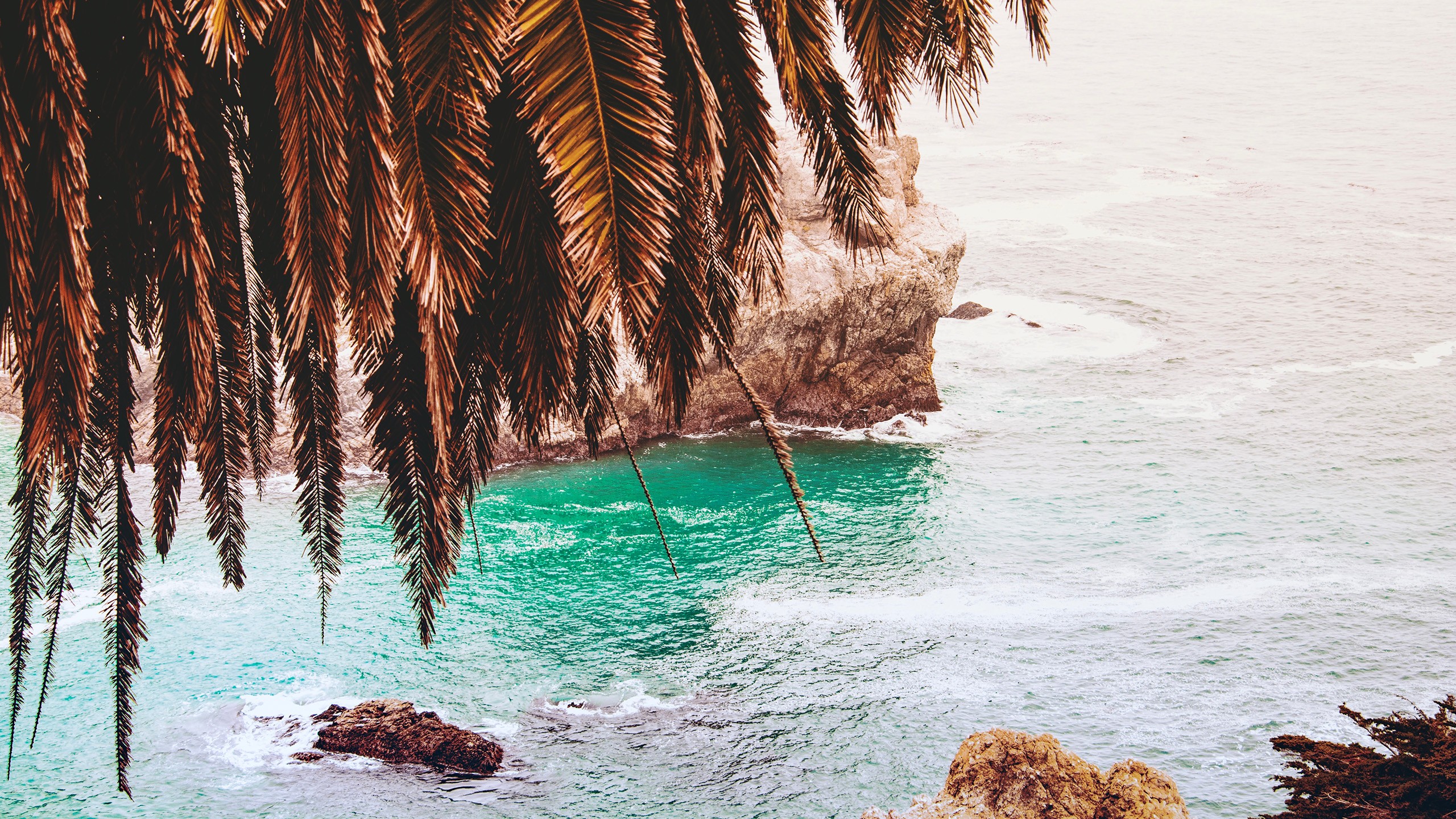 Palm fronds over turquoise ocean and rocky cliffs HD Wallpaper