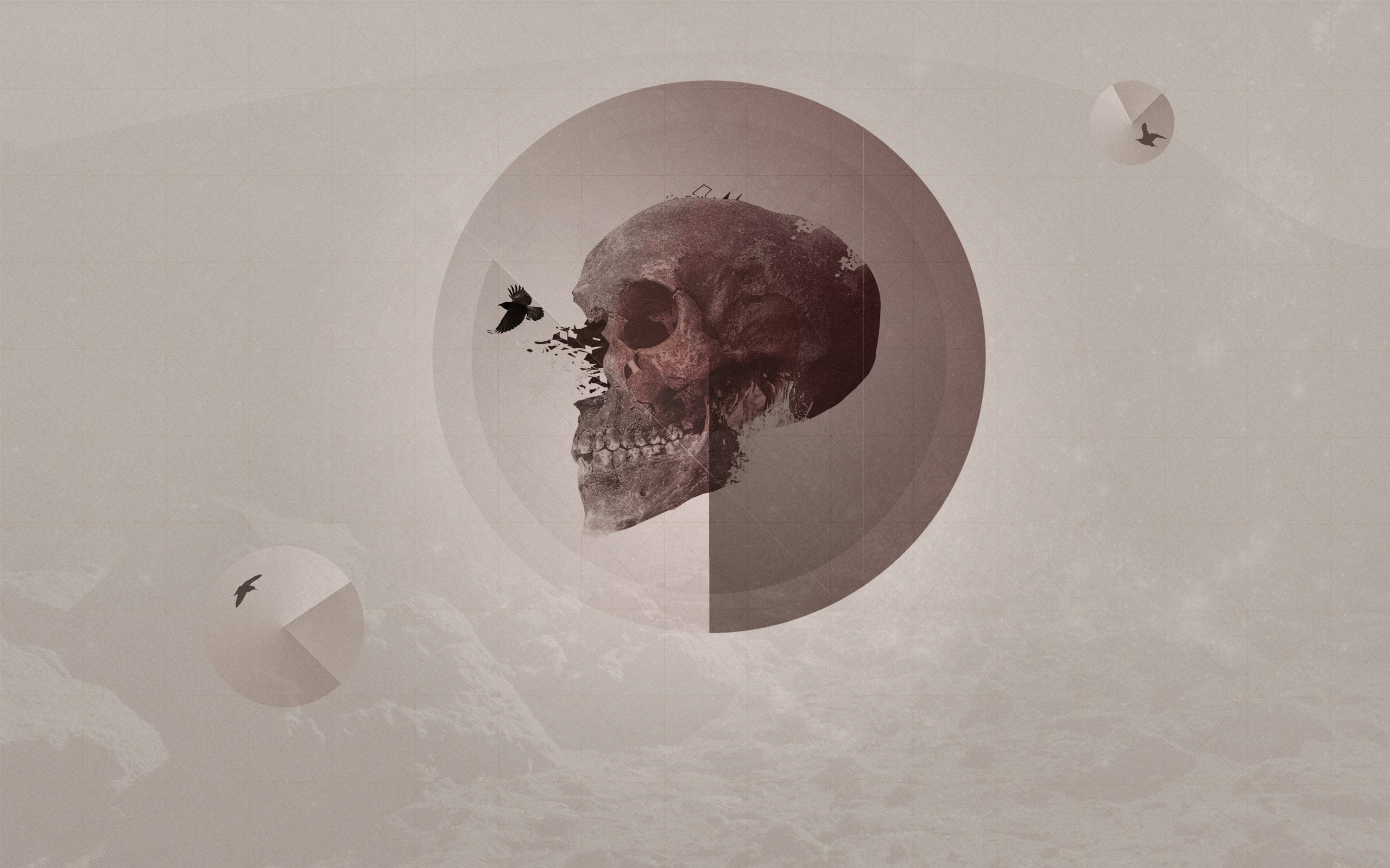 Skull with birds in abstract circles HD Wallpaper