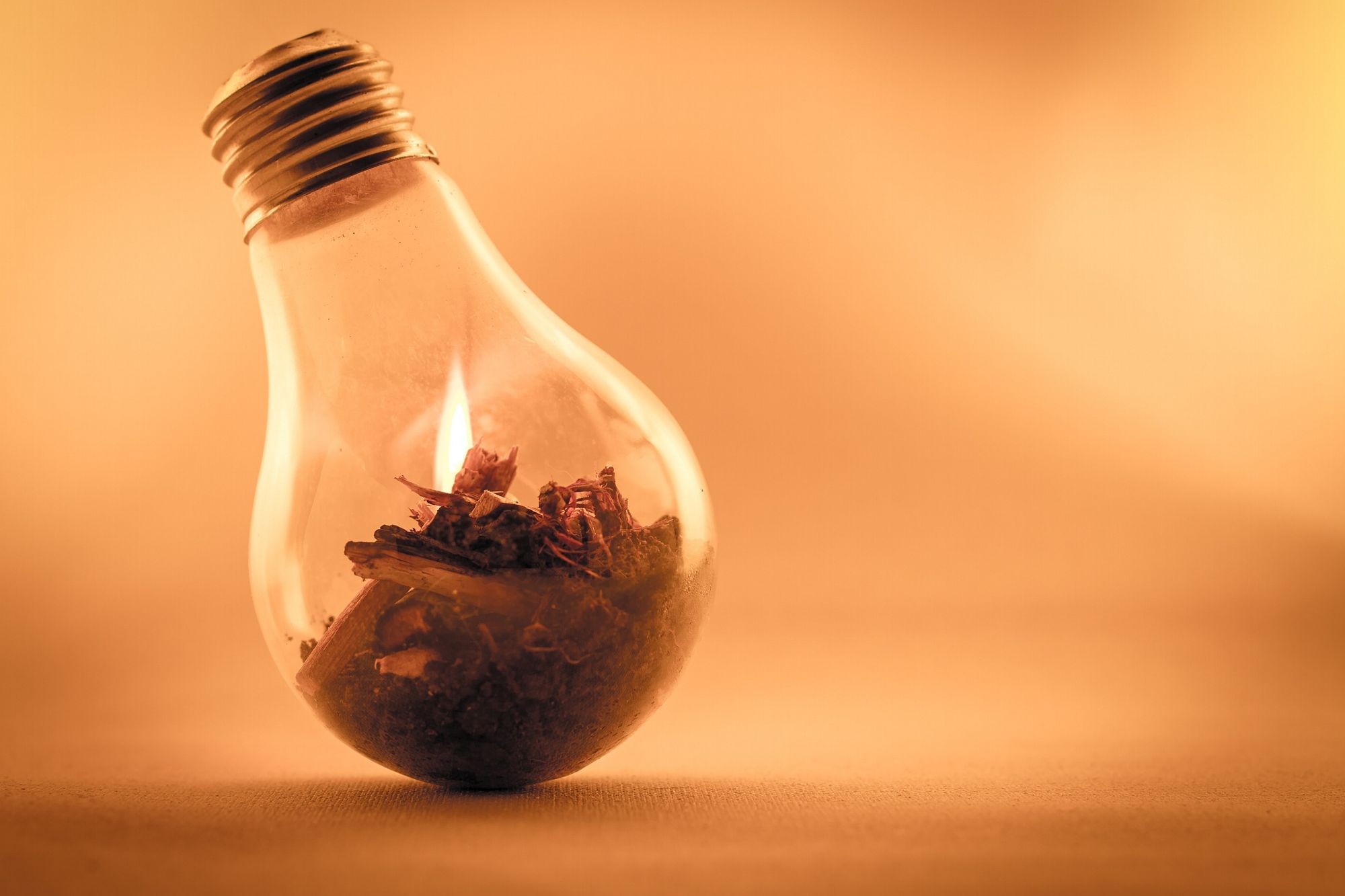 Light bulb with burning wood inside HD Wallpaper