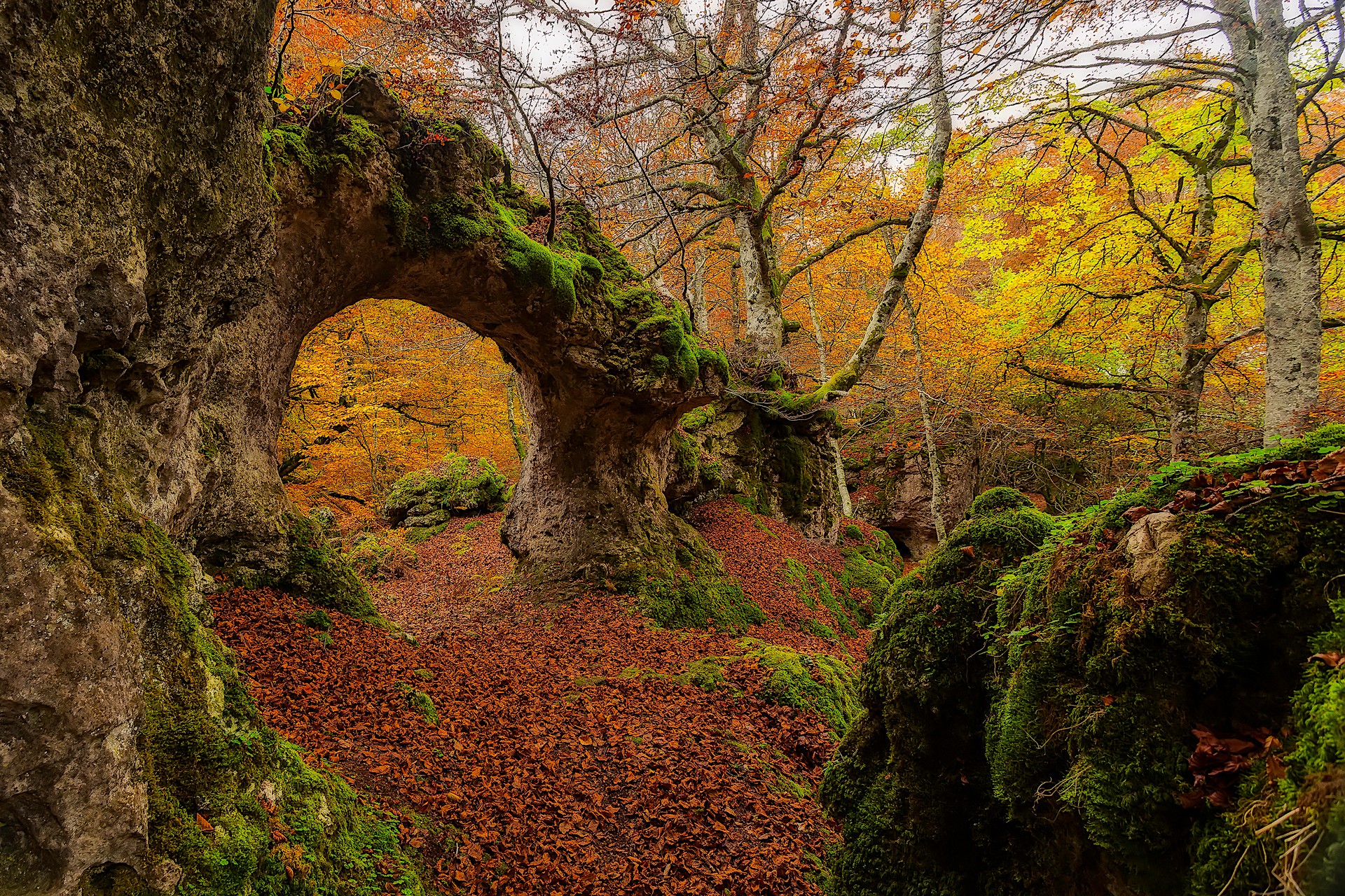 Autumn forest with moss-covered rocks and archway HD Wallpaper