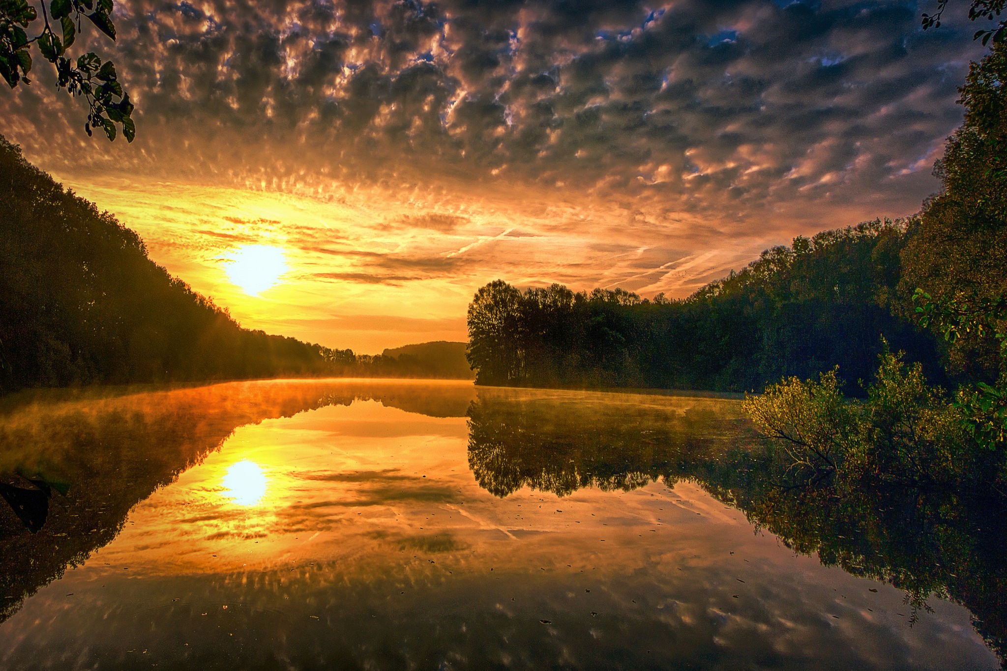 Sunrise over a misty lake with trees HD Wallpaper