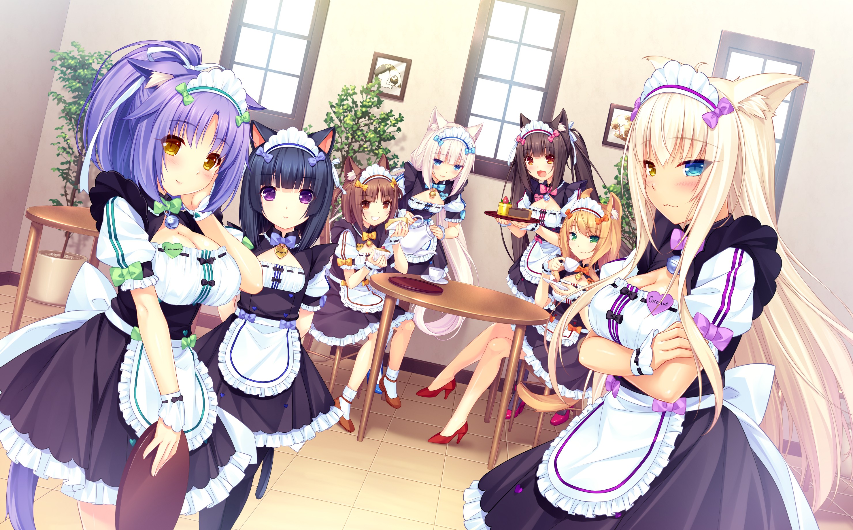 Neko Para, cat girl, smiling HD Wallpaper
