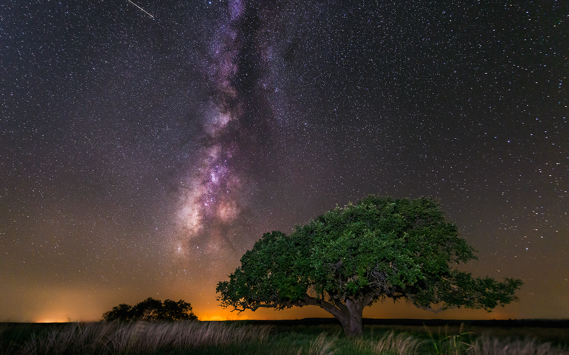 Milky Way galaxy over a grassy field with trees HD Wallpaper