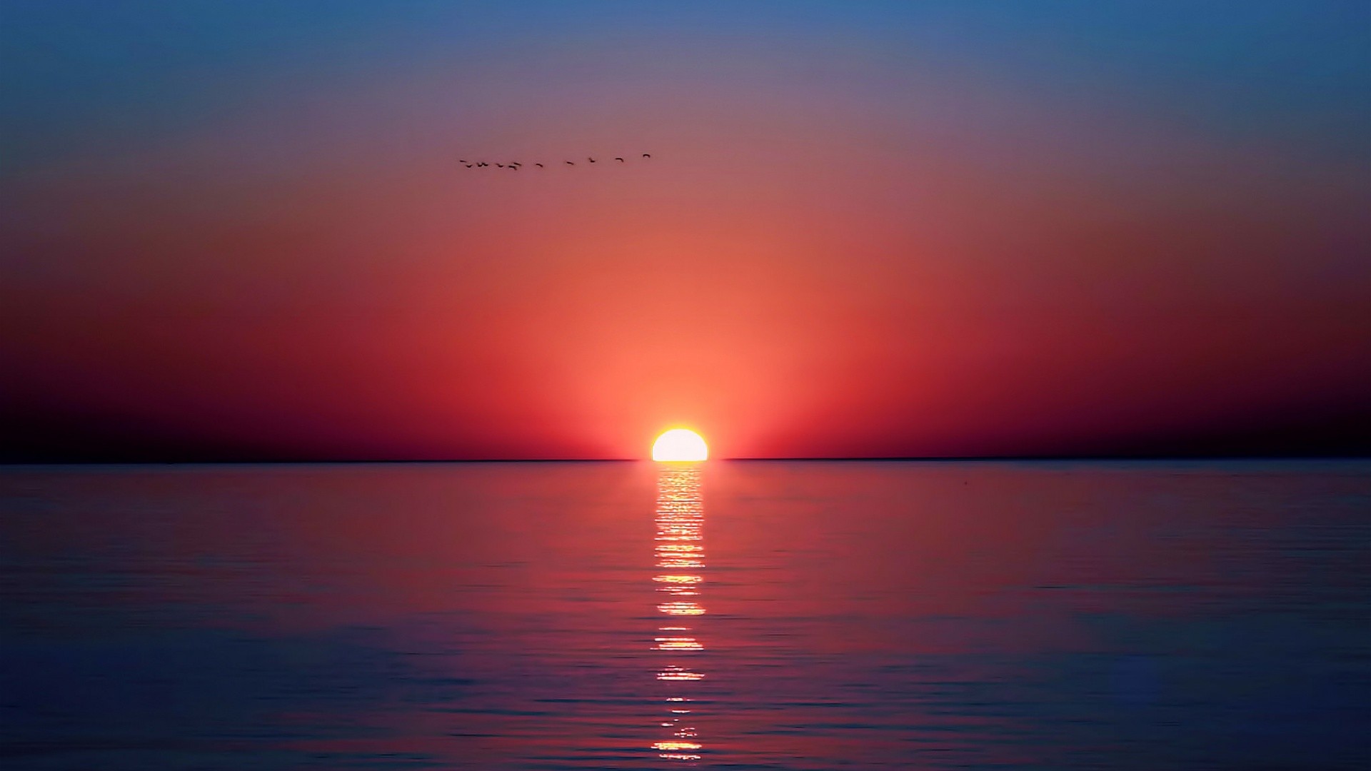 Sunset over the sea with birds flying HD Wallpaper