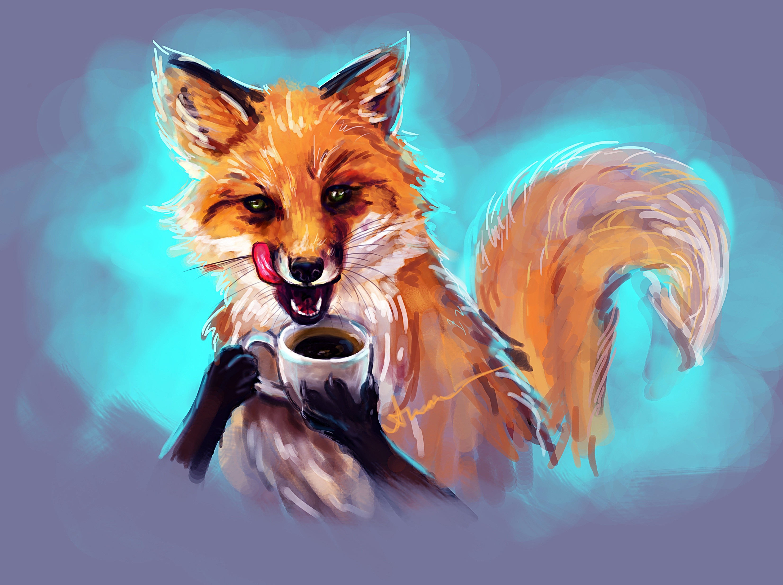 Fox drinking coffee with tongue out HD Wallpaper