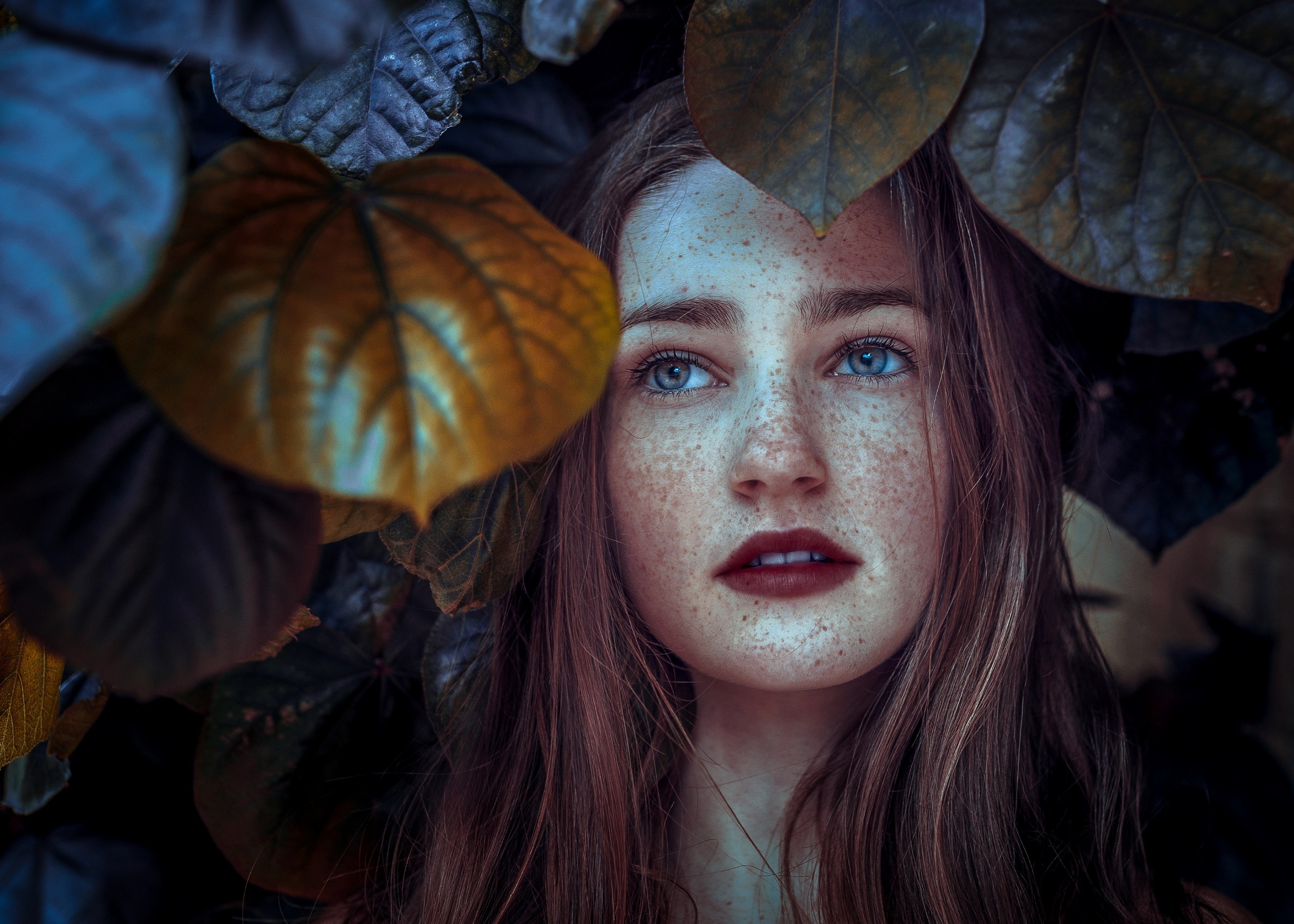 Woman with freckles surrounded by leaves HD Wallpaper