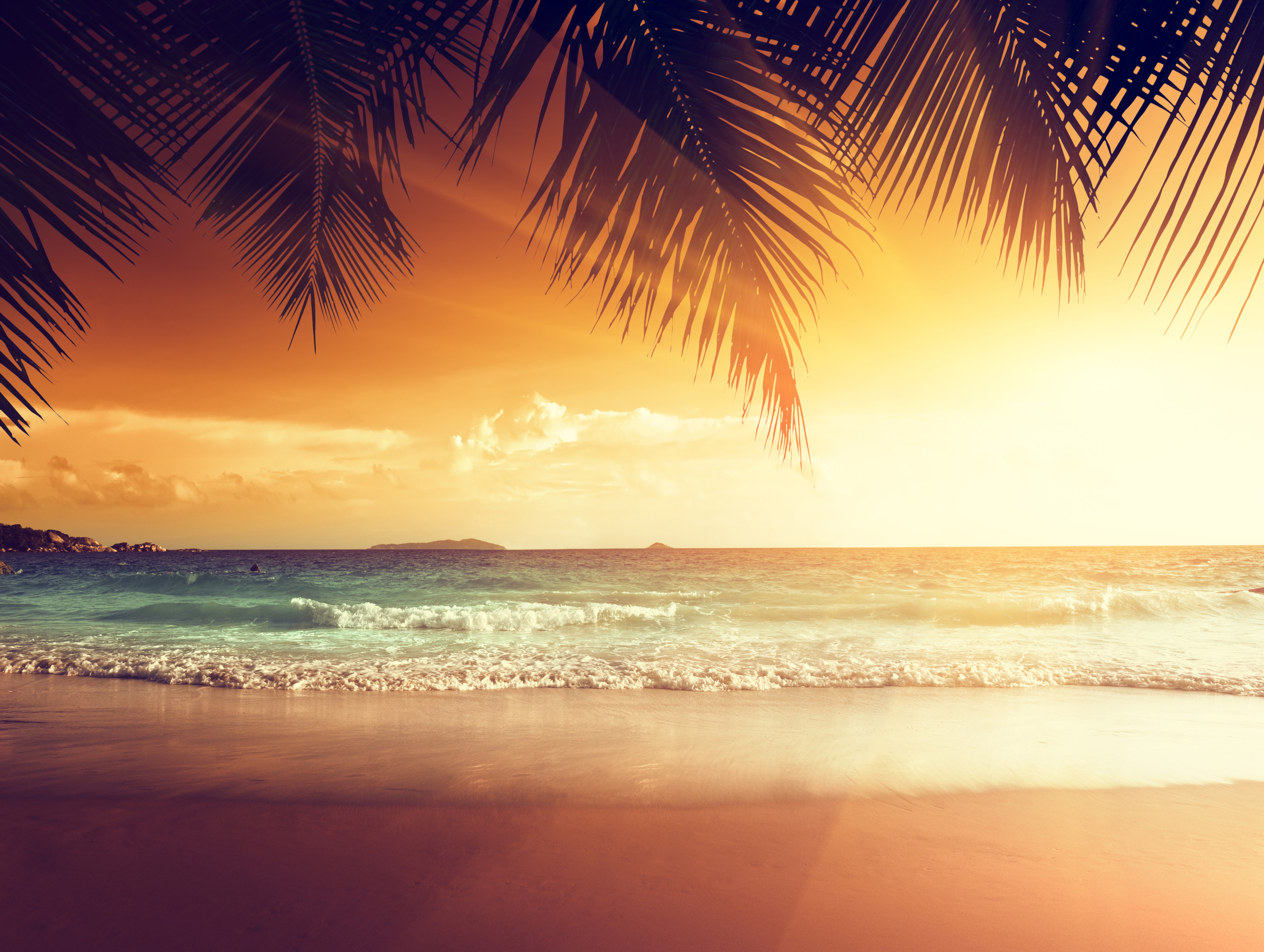 Tropical beach at sunset with palm trees HD Wallpaper