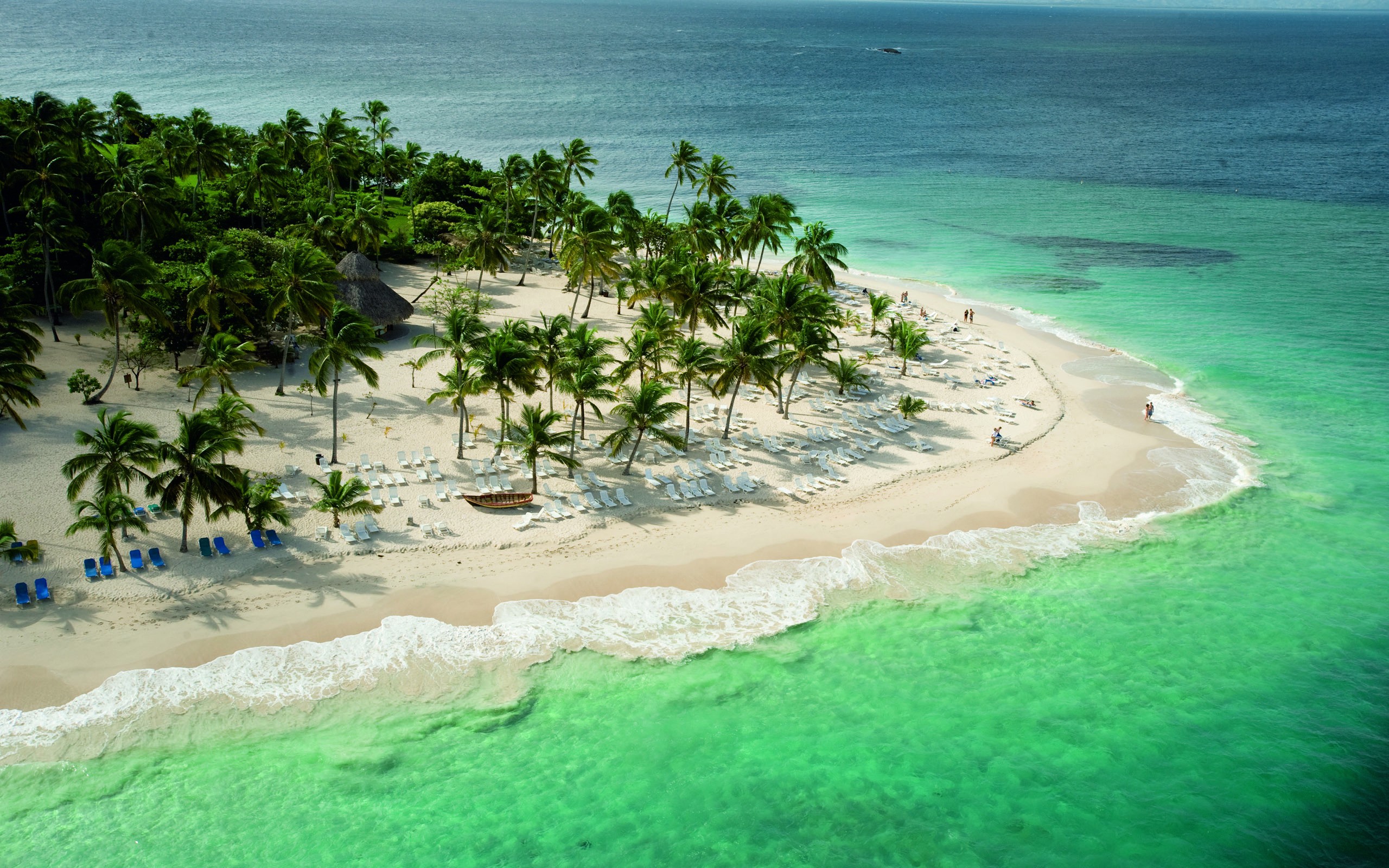 Tropical beach with palm trees and turquoise water HD Wallpaper