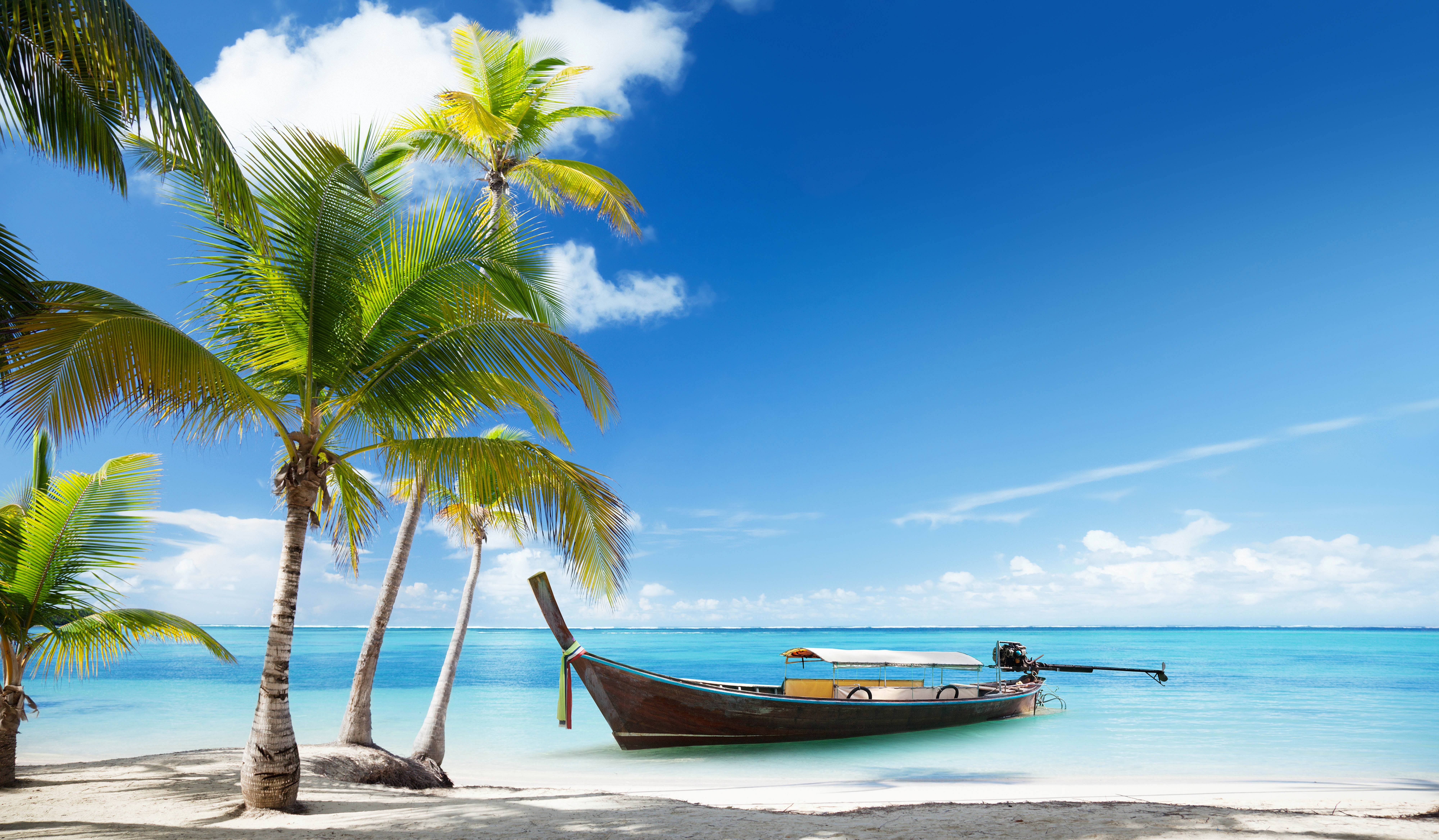 Tropical beach with palm trees and a boat HD Wallpaper