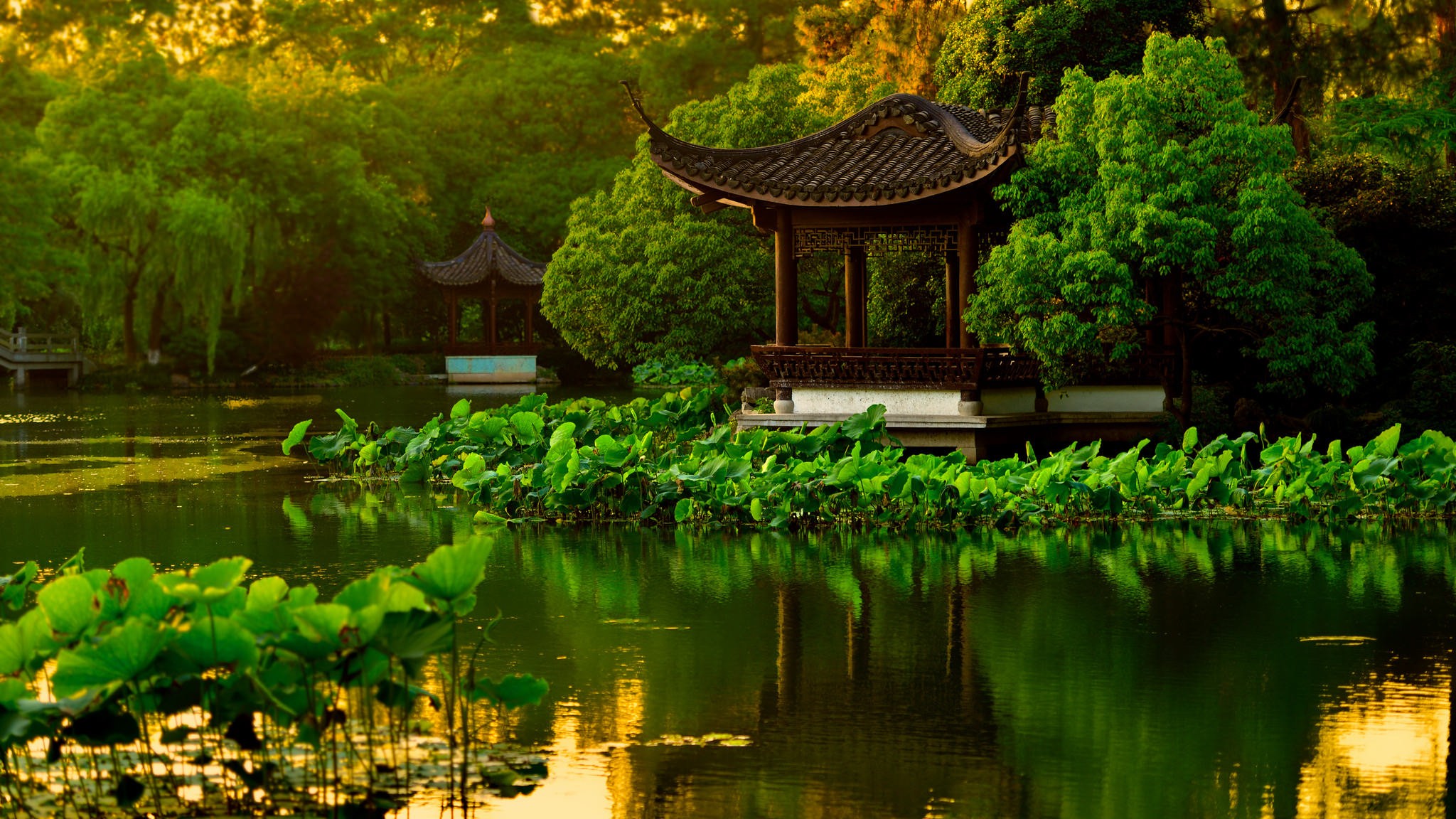 Japanese Garden with Pagodas and Lotus Pond HD Wallpaper