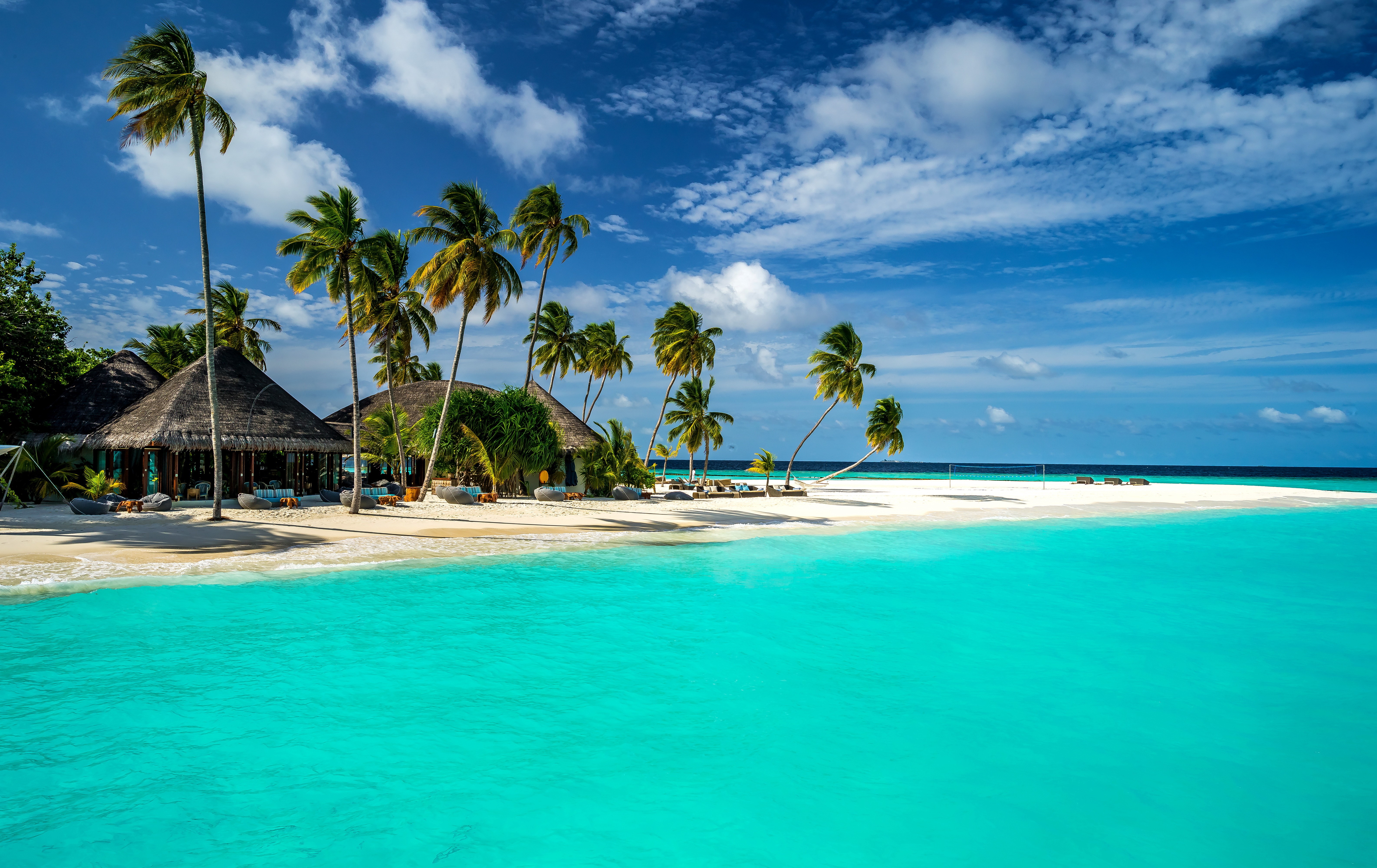 Tropical beach with palm trees and turquoise water HD Wallpaper