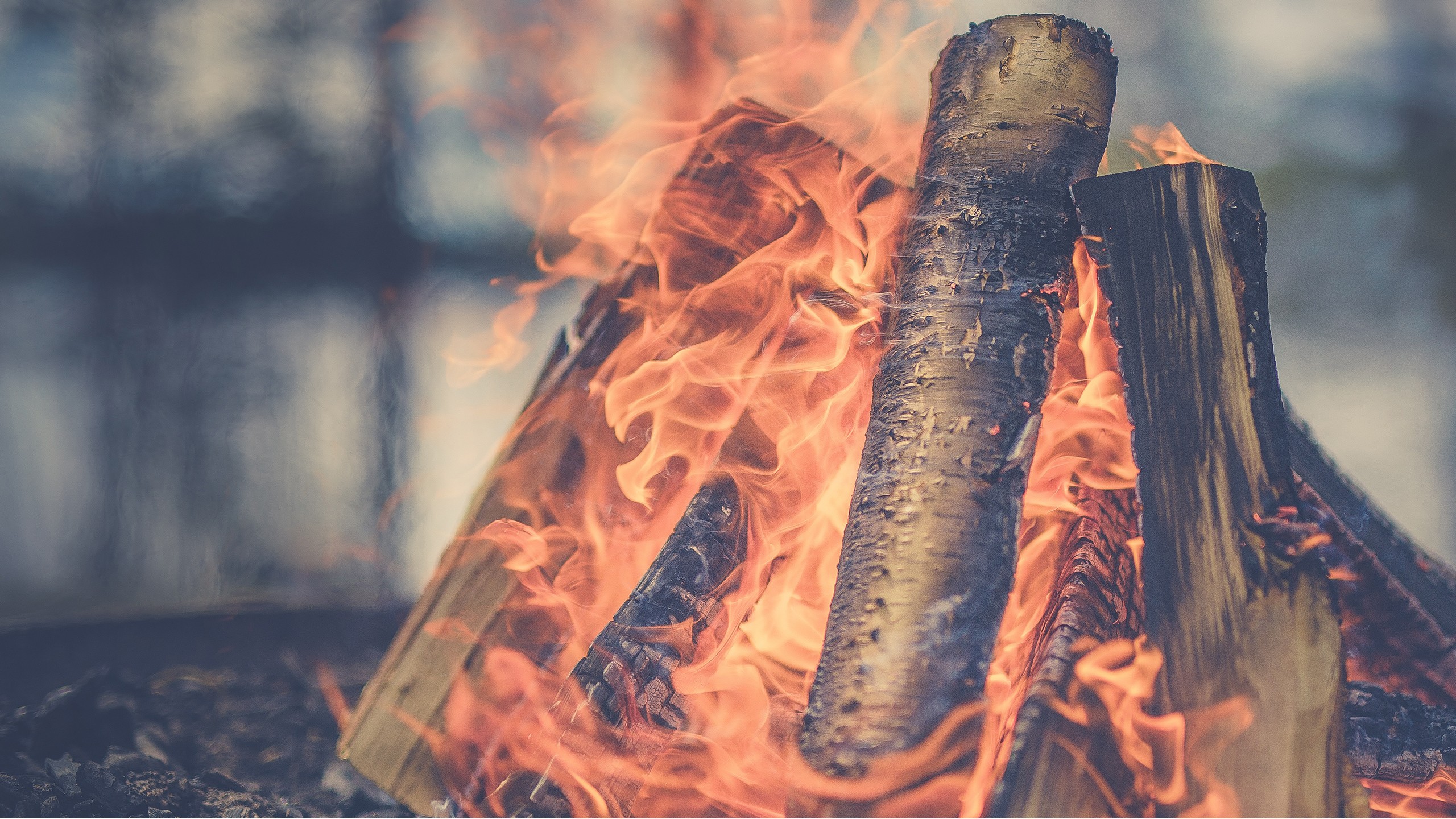 Campfire with burning logs HD Wallpaper