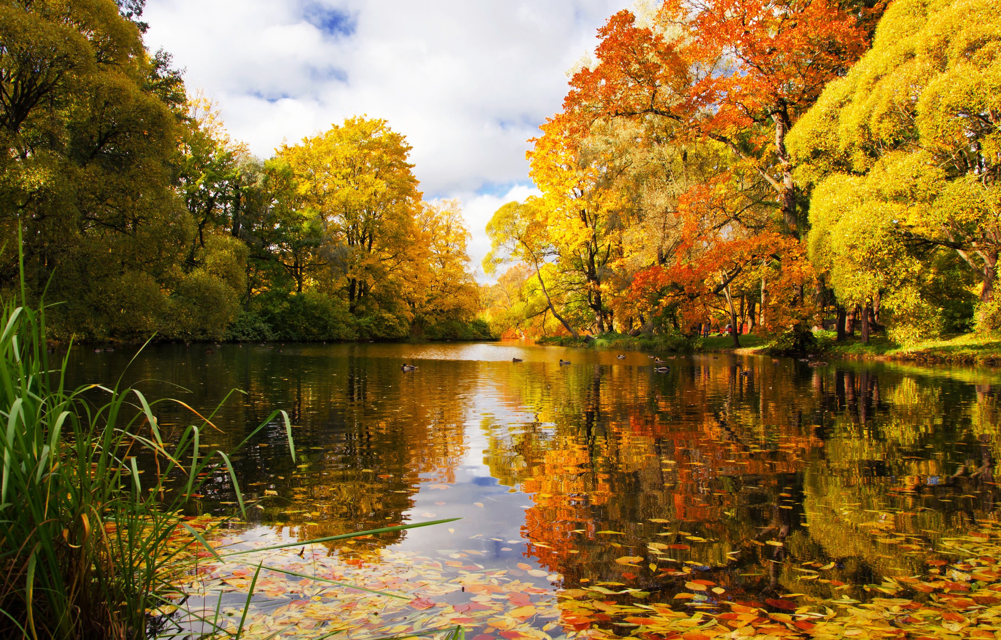 Autumn lake with colorful trees and reflections HD Wallpaper