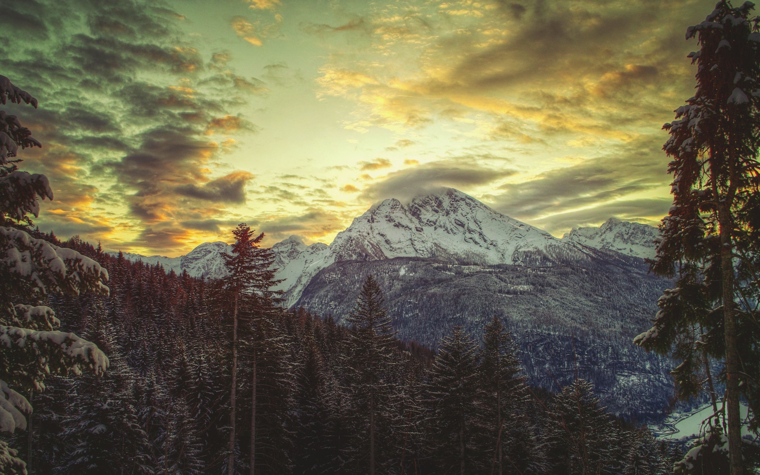 Snow-covered mountains and pine forest at sunset HD Wallpaper