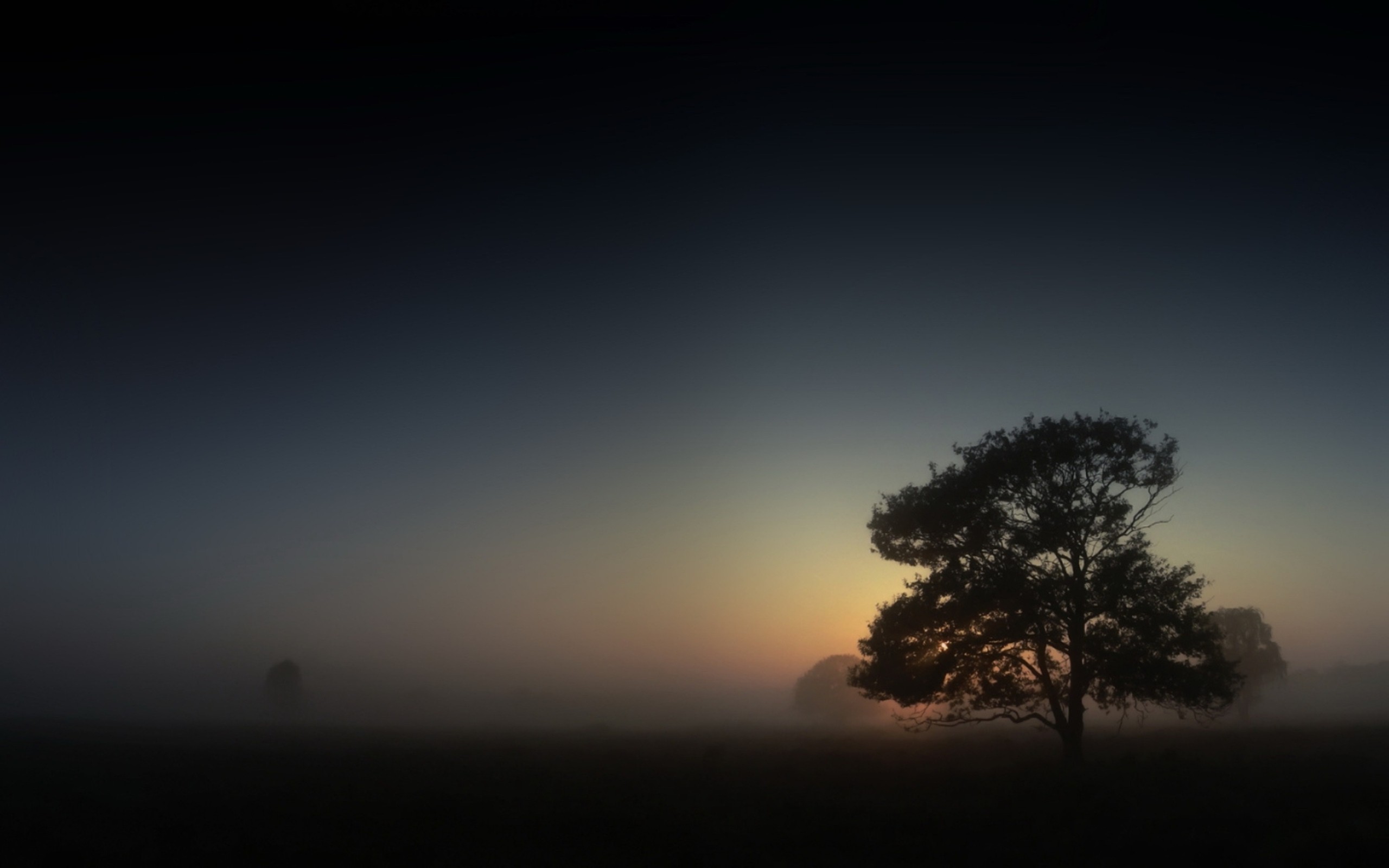 Misty landscape with trees at sunset HD Wallpaper