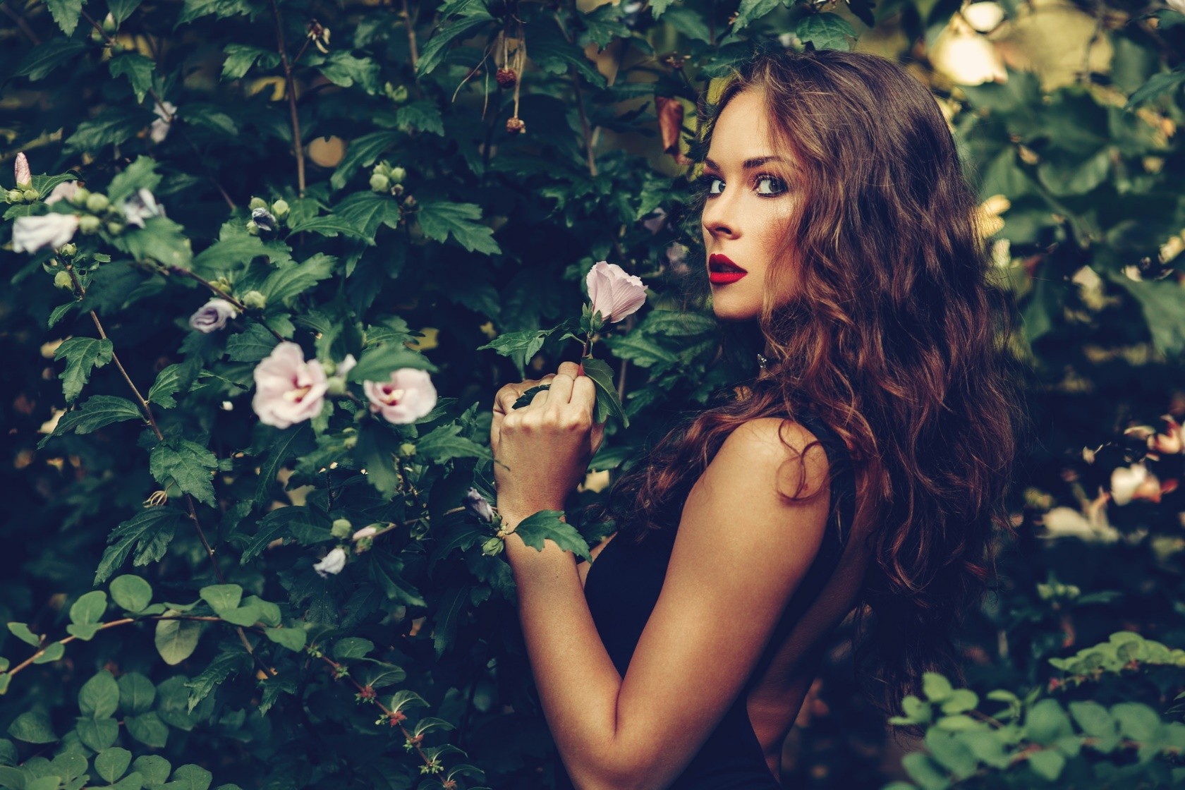 Woman in black dress among flowers HD Wallpaper