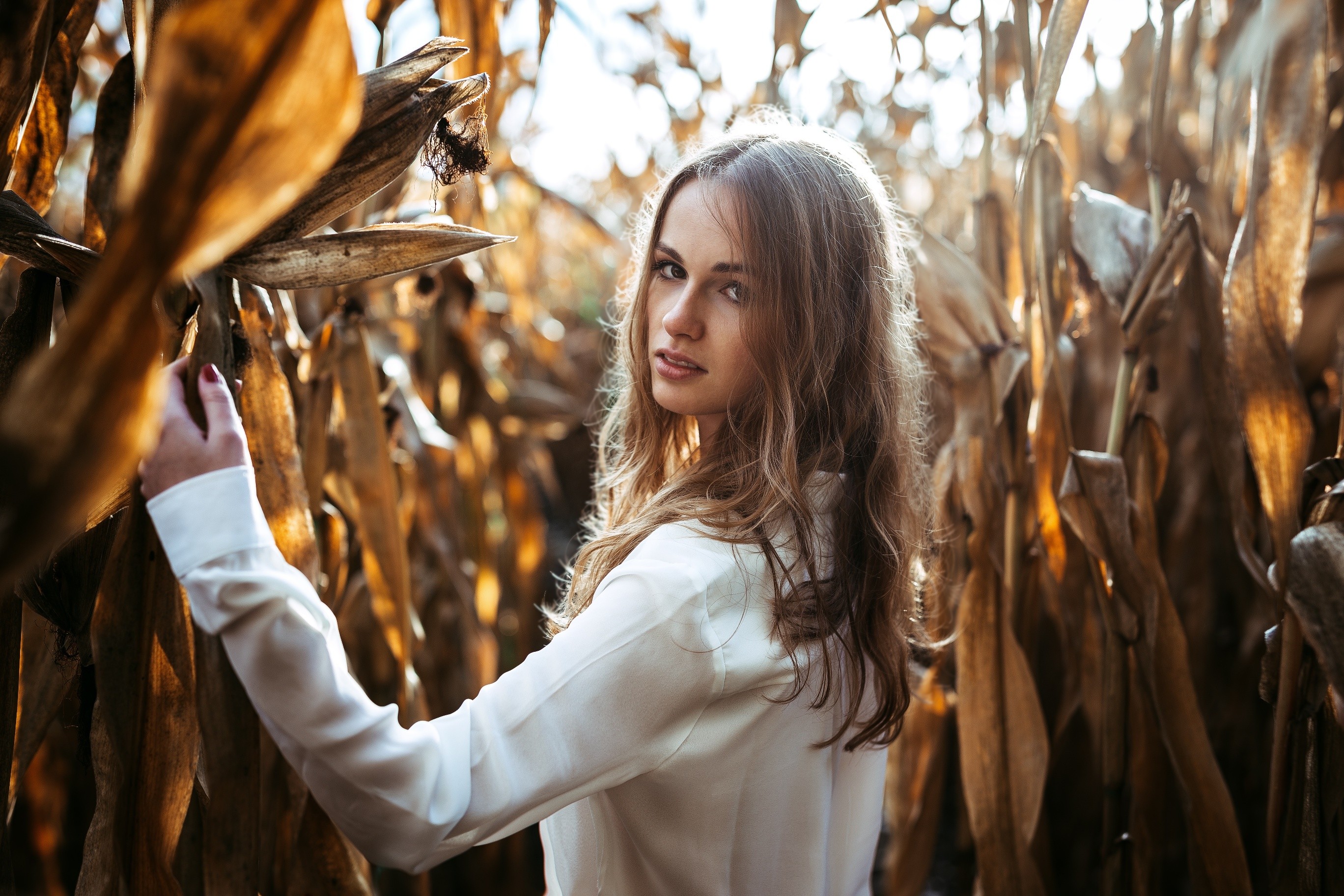 Woman in a white shirt in a cornfield HD Wallpaper