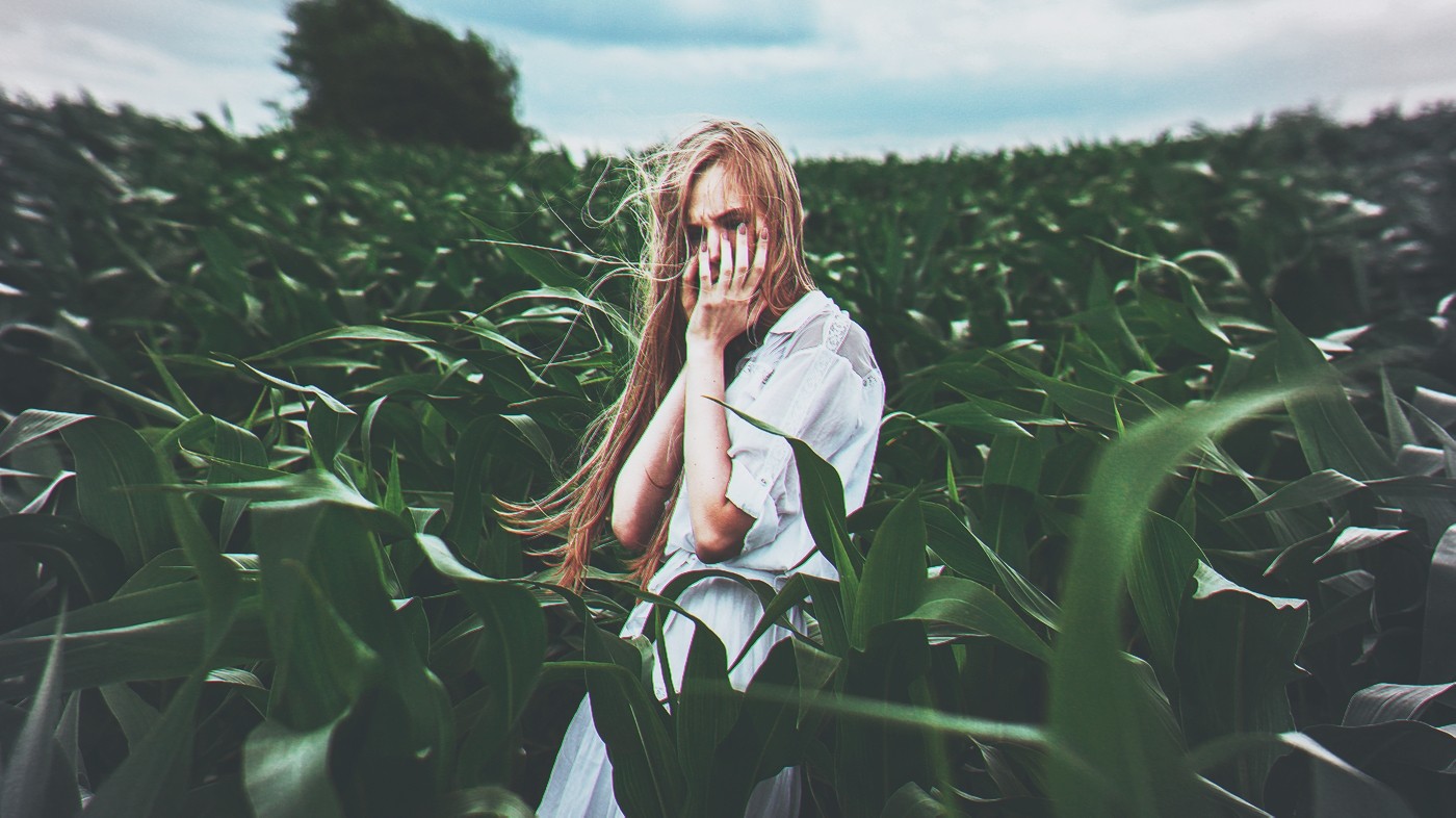 Woman in white dress in a cornfield HD Wallpaper