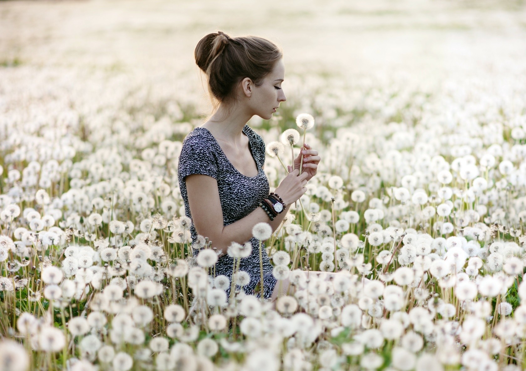Woman sitting in a field of dandelions HD Wallpaper