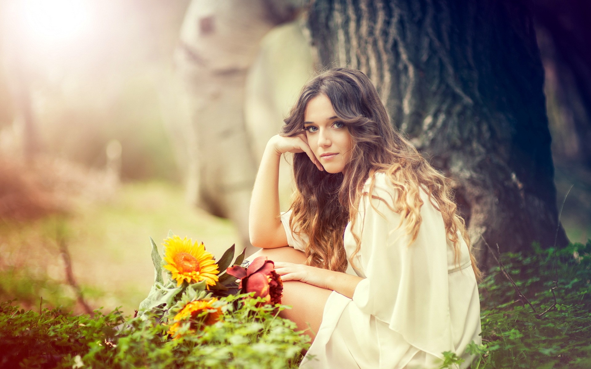 Woman with flowers sitting outdoors near a tree HD Wallpaper