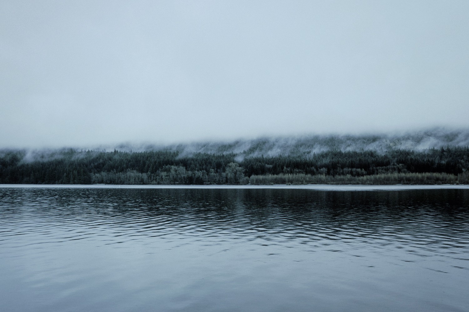 Misty forest on a lake HD Wallpaper