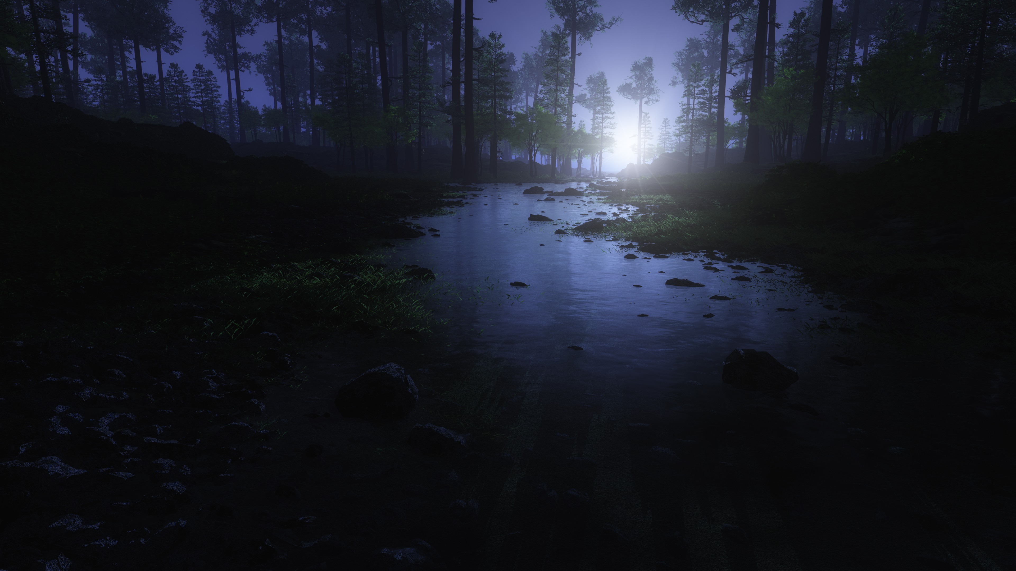 Misty forest with a stream and bright light HD Wallpaper