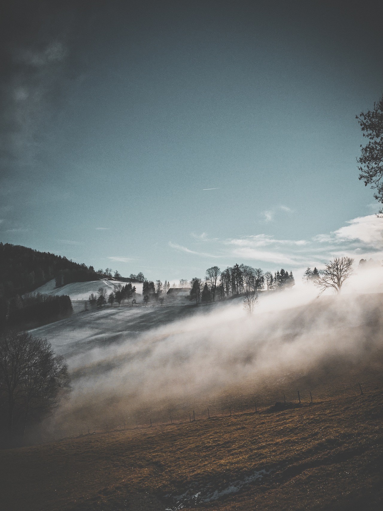 Misty winter landscape with trees and houses HD Wallpaper
