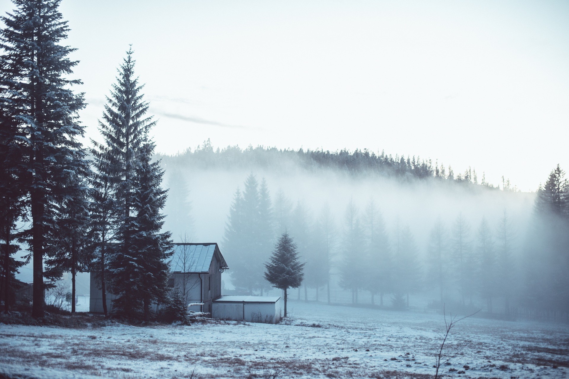 Winter mist over a forest with a small cabin HD Wallpaper