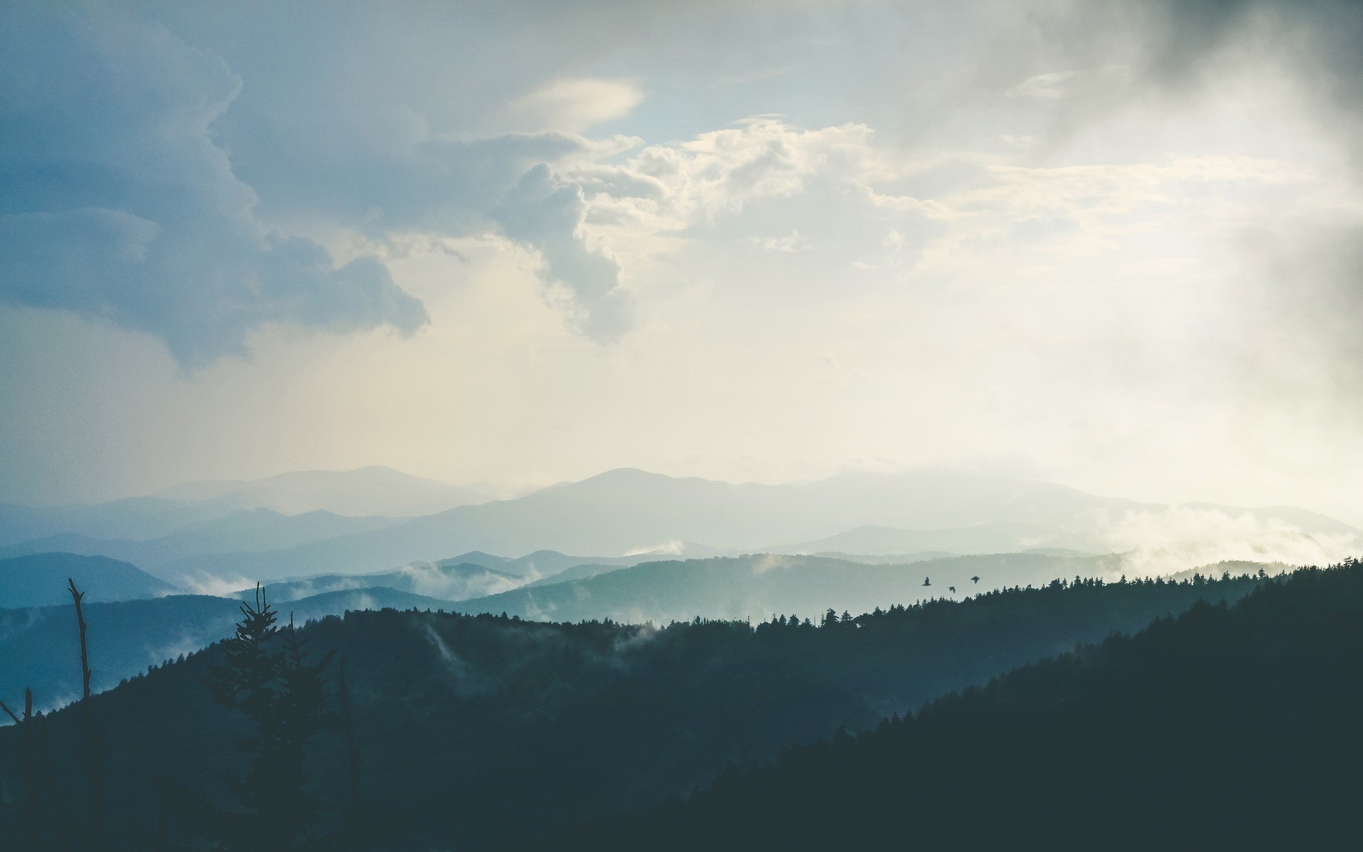 Misty mountains and forest under a cloudy sky HD Wallpaper