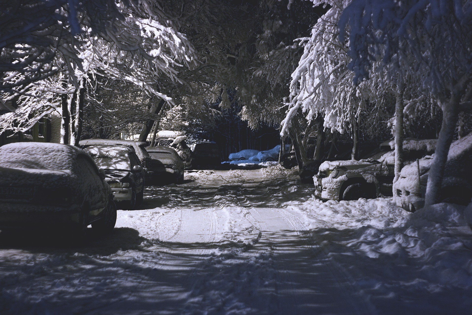 Cars parked on a snowy street at night HD Wallpaper