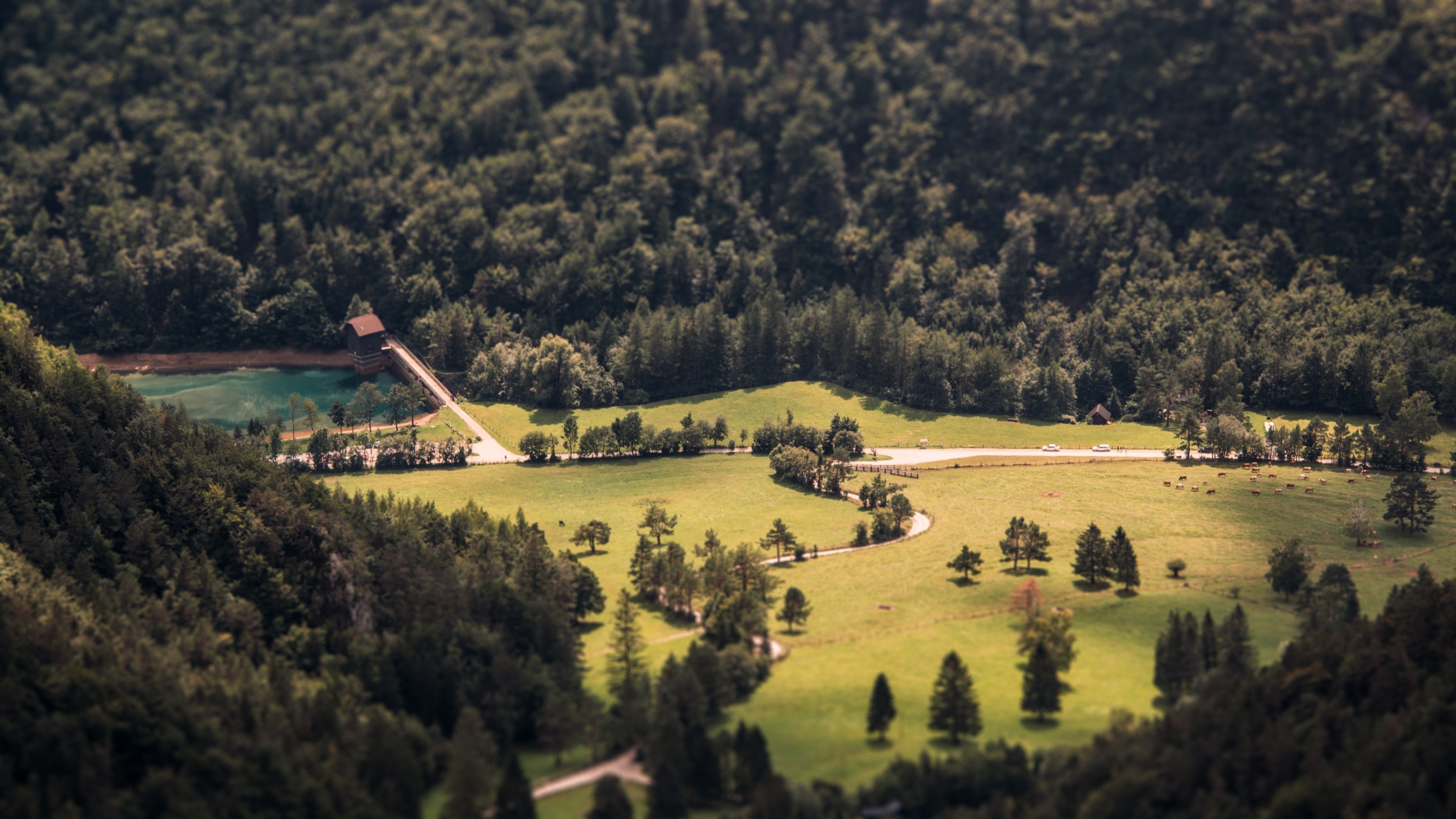 Tilt-shift view of a forest landscape with a lake and bridge HD Wallpaper