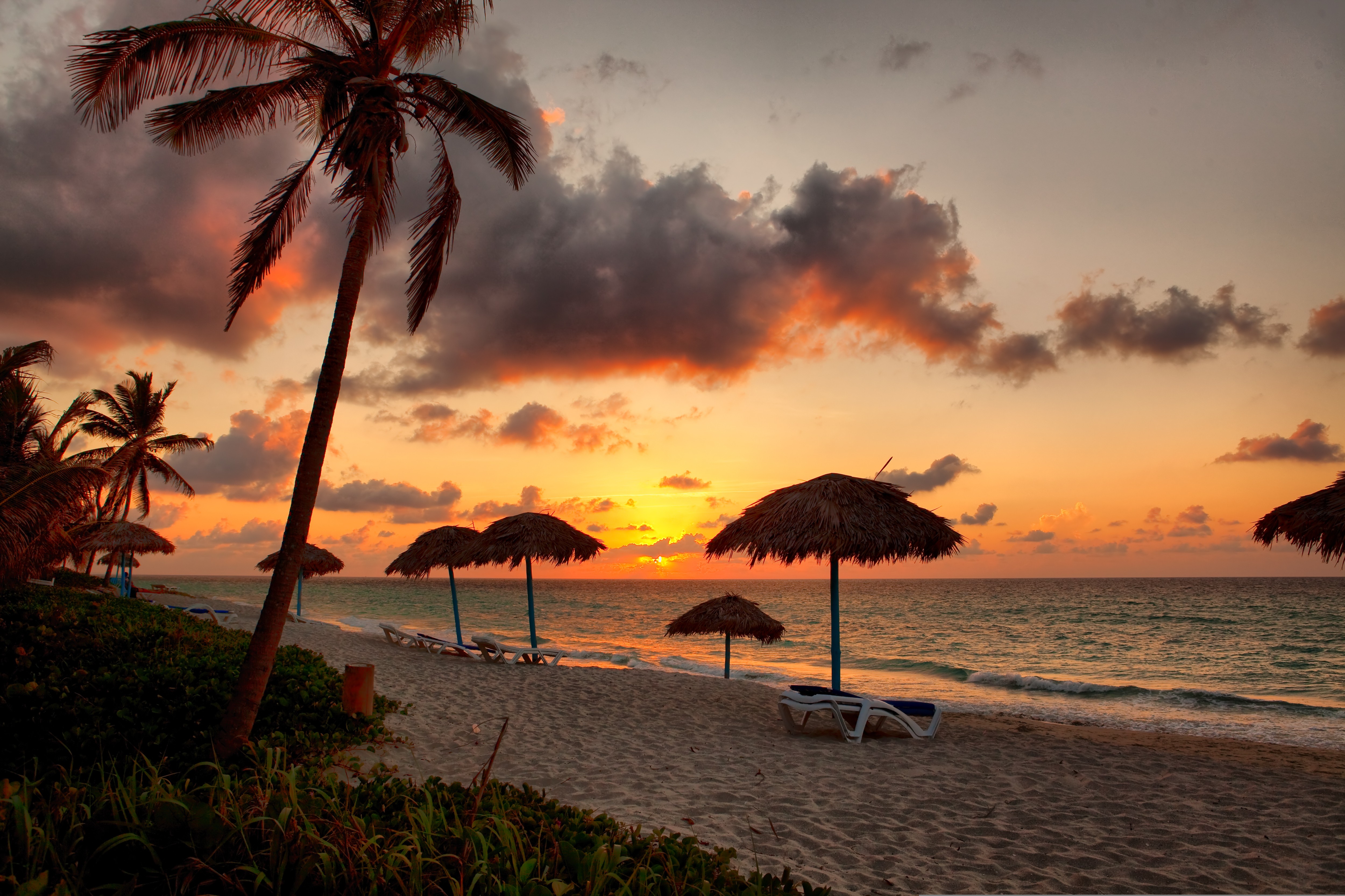 Tropical beach with palm trees and umbrellas at sunset HD Wallpaper