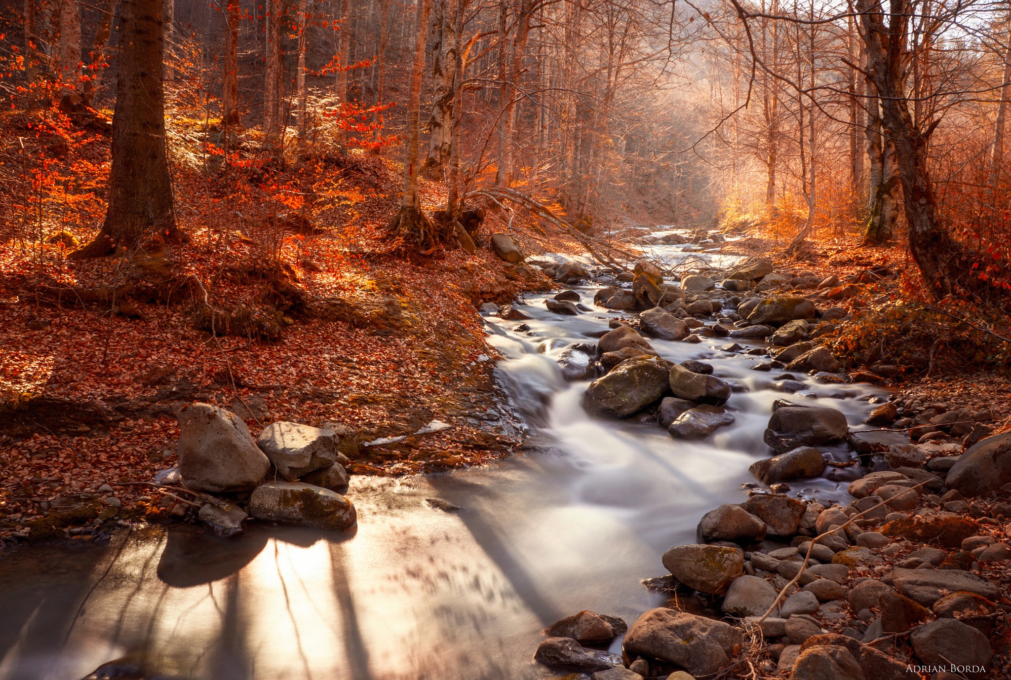 Autumn forest stream with flowing water and rocks HD Wallpaper