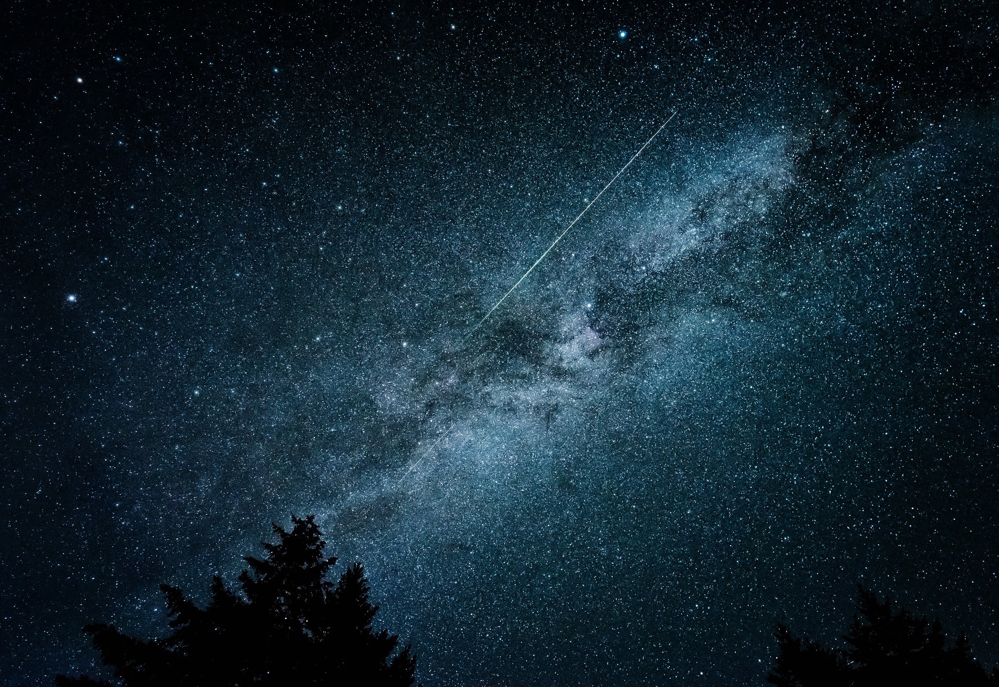 Milky Way galaxy with a shooting star and pine trees HD Wallpaper