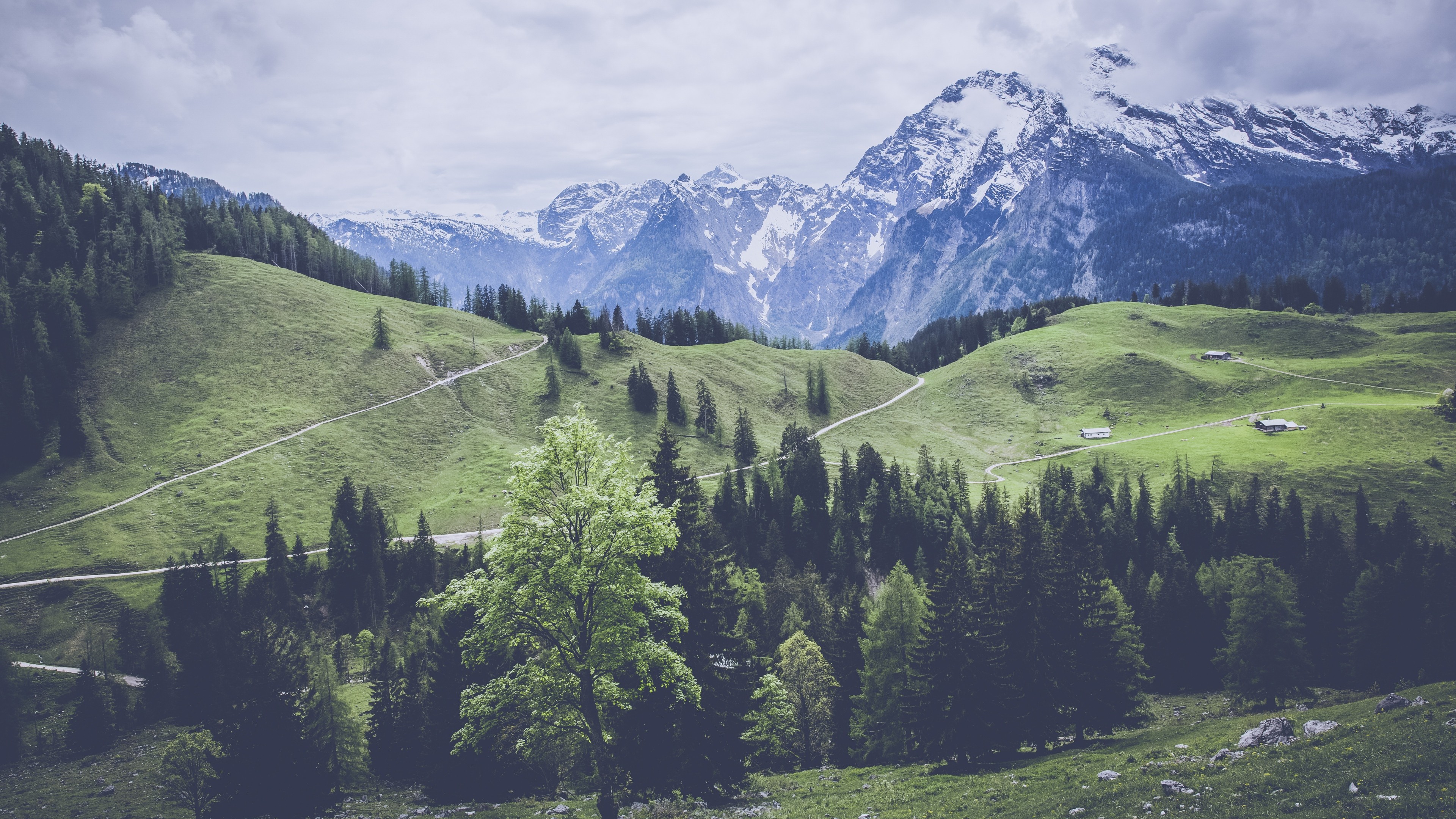 Snow-capped mountains and green hills with a forest HD Wallpaper