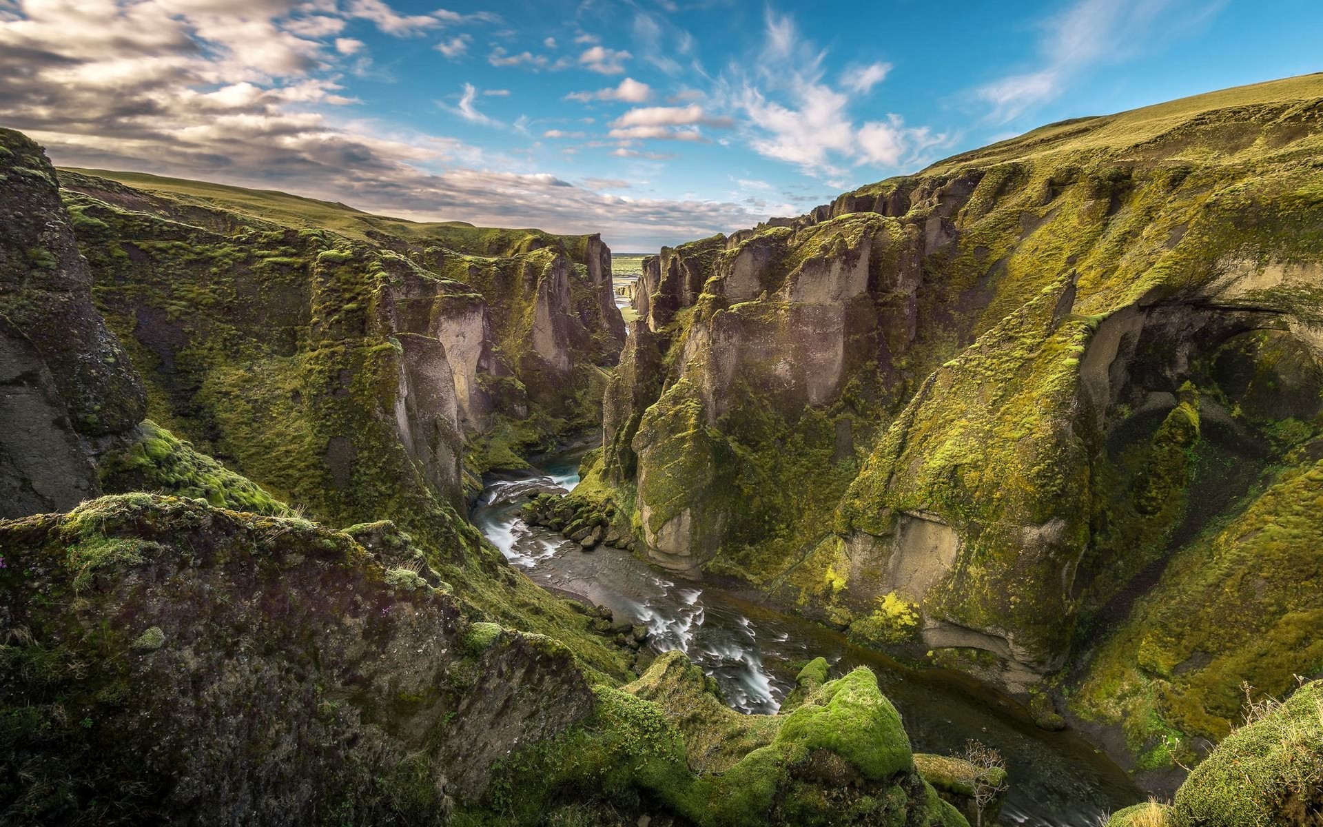 Moss-covered canyon with a river flowing through it HD Wallpaper