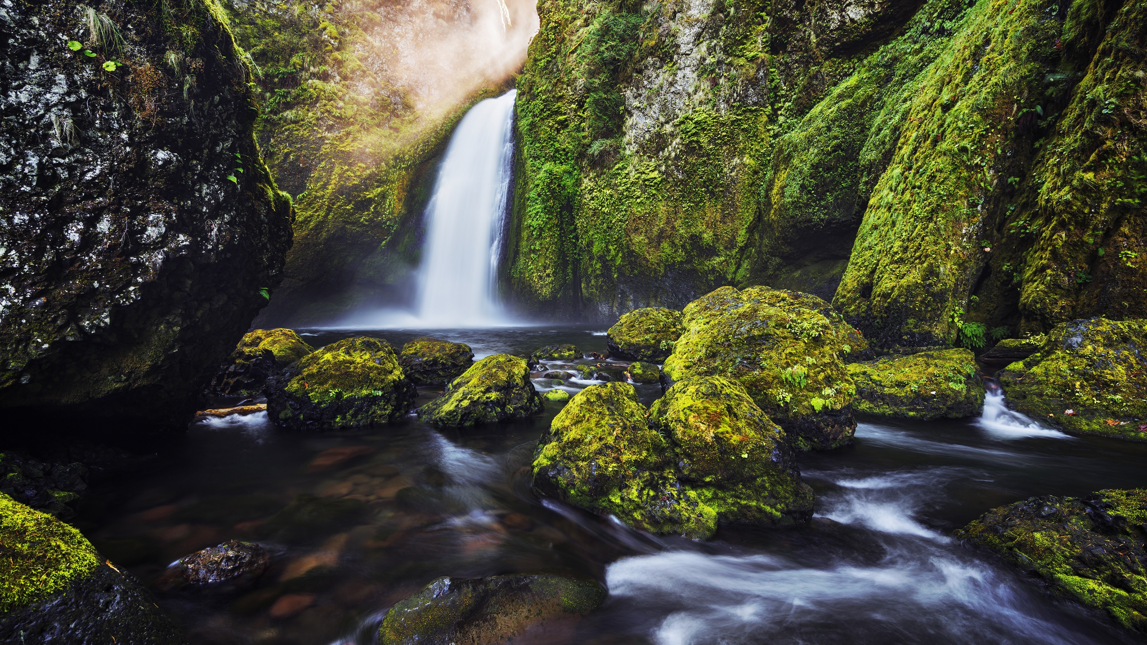 Mossy rocks and waterfall in a green forest HD Wallpaper