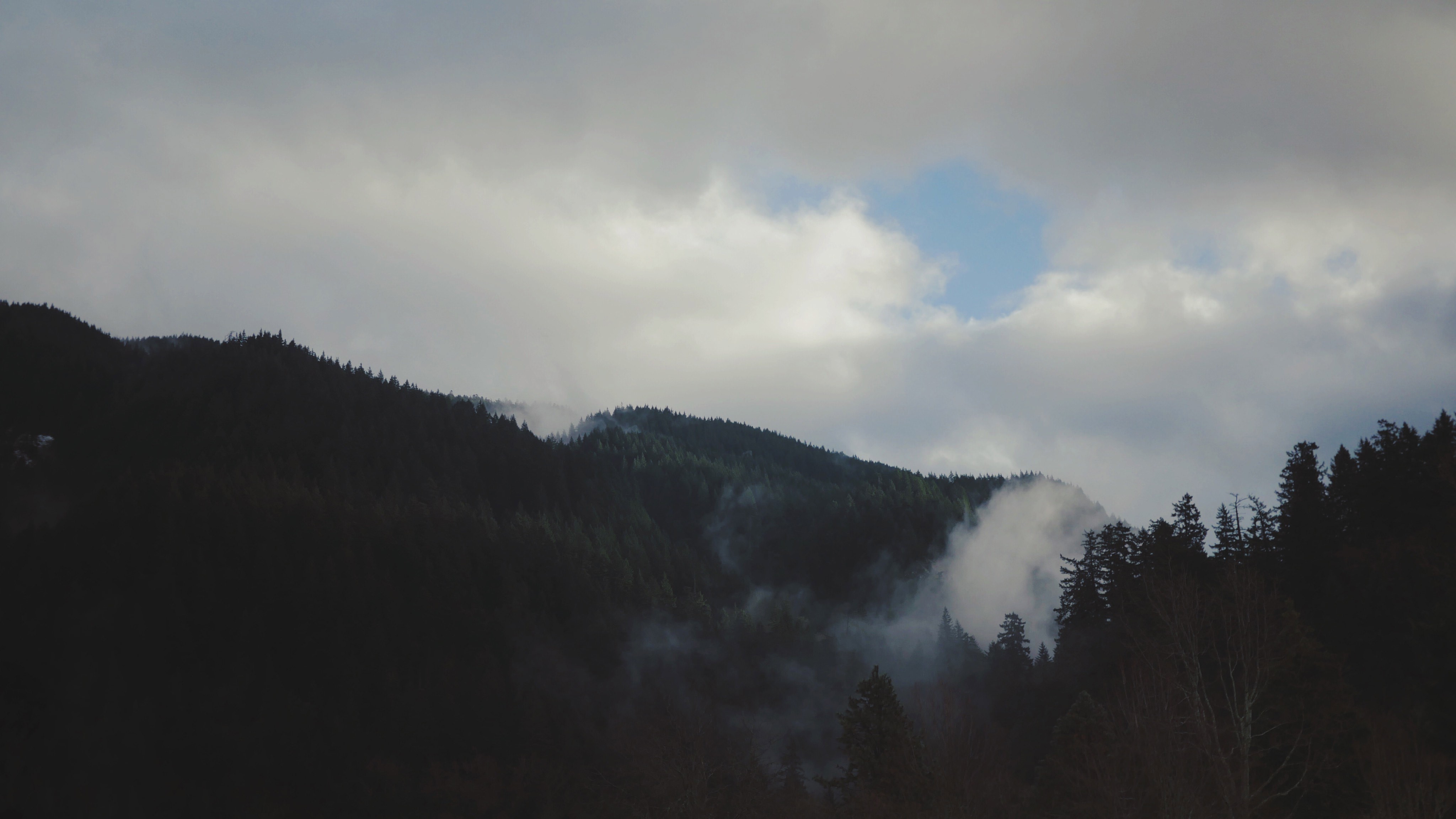 Misty mountains covered in dark pine trees under a cloudy sky HD Wallpaper
