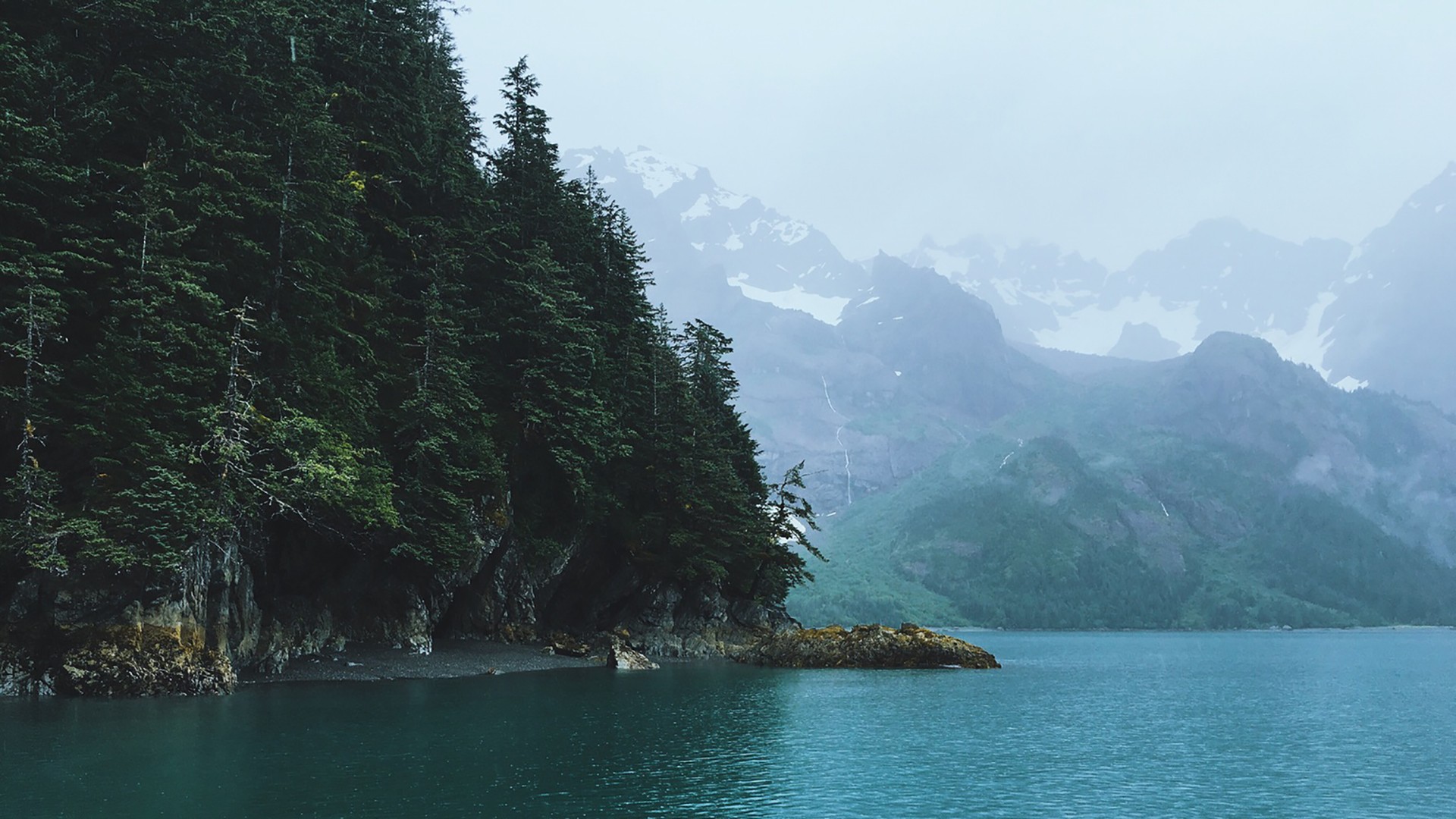 Misty mountains and evergreen forest by the water HD Wallpaper