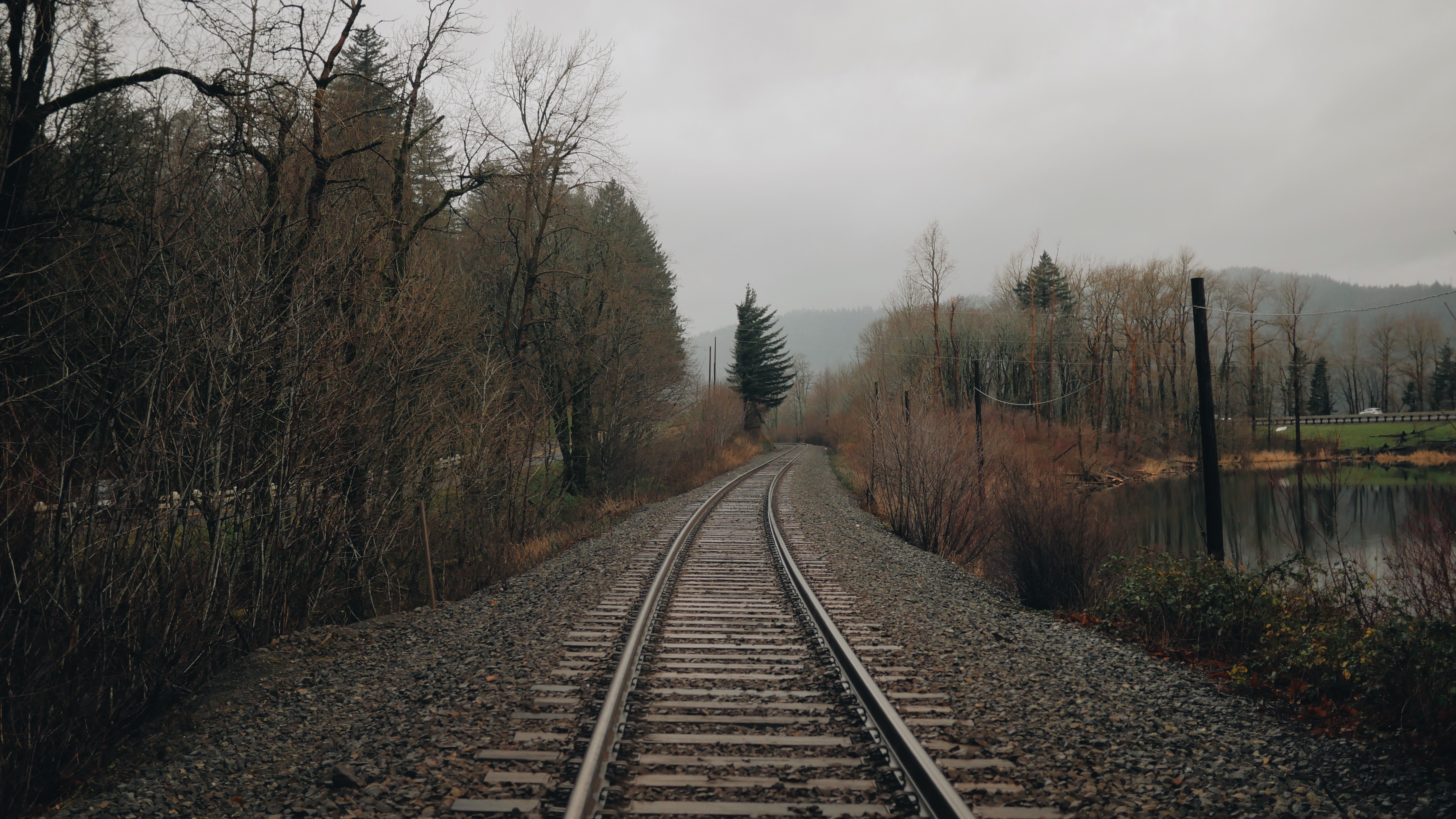 Railroad tracks curve through a forest next to a body of water HD Wallpaper