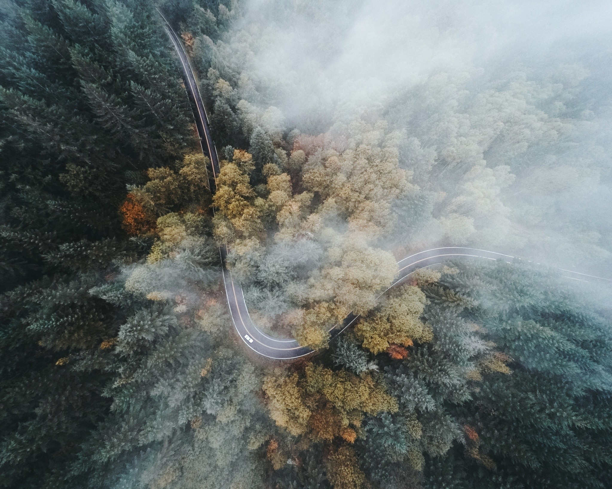 Aerial view of a winding road through a foggy forest HD Wallpaper